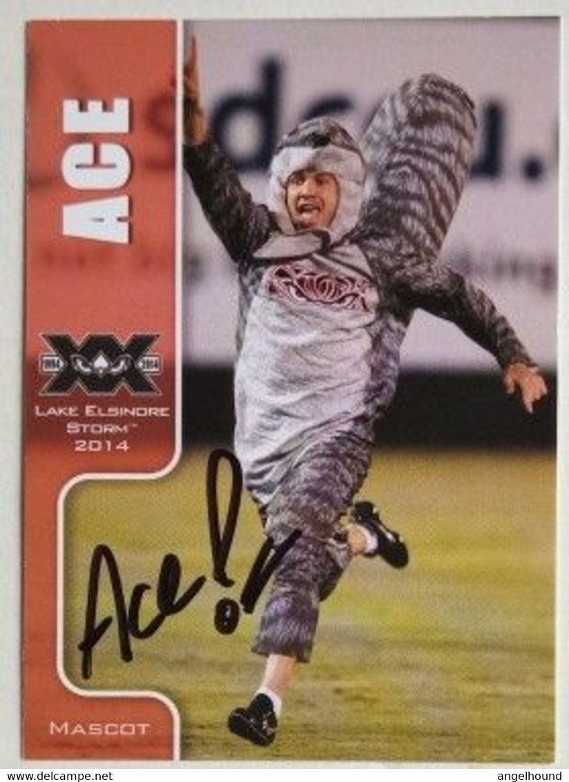 Ace, The Fastest Squirrel In The World, Mascot Of Lake Elsinore Storm Baseball Team - Honkbal - Minor League