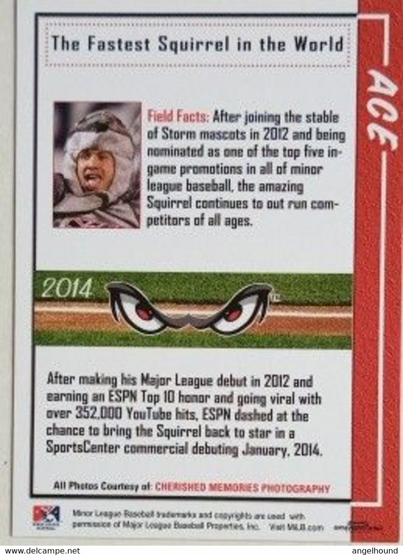 Ace, The Fastest Squirrel In The World, Mascot Of Lake Elsinore Storm Baseball Team - Honkbal - Minor League