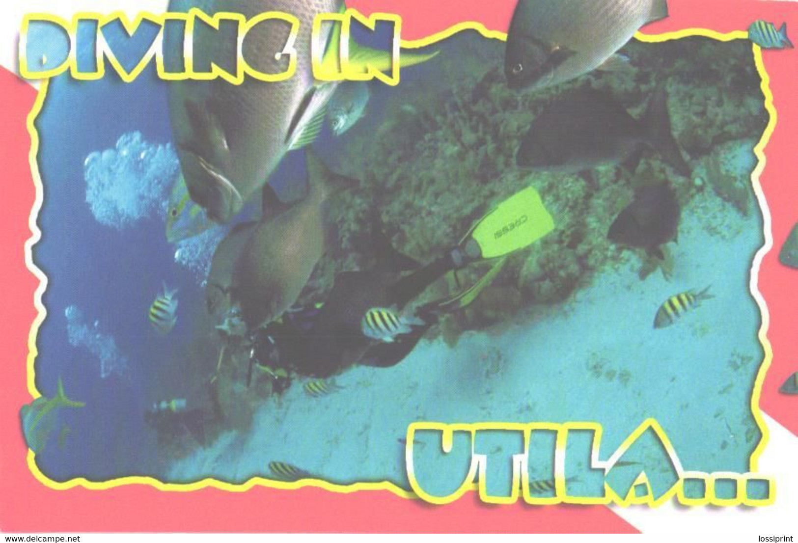 Diving In Utila, Fishes - Kunst- Und Turmspringen