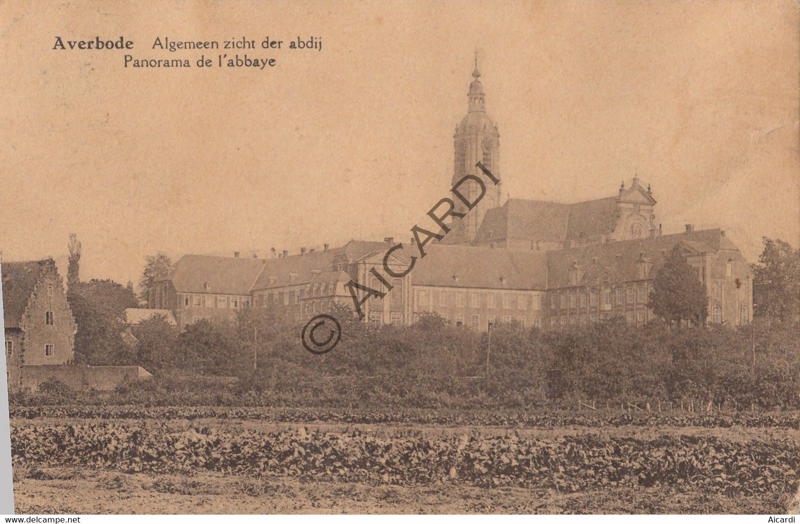 Postkaart / Carte Postale - AVERBODE - Algemeen Zicht Der Abdij - Zuster Rumolda, Karmelieten Klooster Gent  (A508) - Scherpenheuvel-Zichem