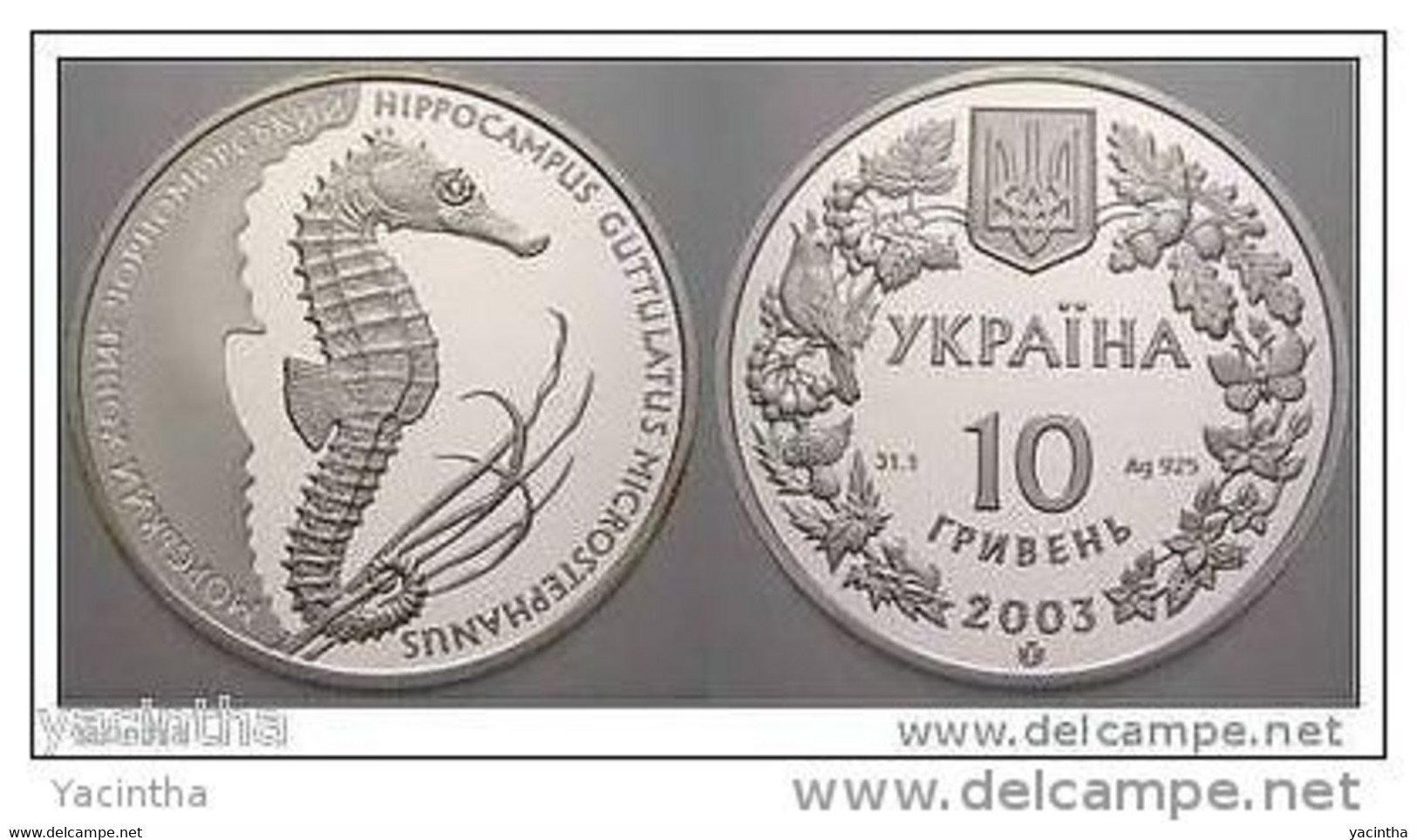 @Y@   Ukraine / Ukrain 10 Hryven 2003 `Long Snouted Seahorse` Silver Proof Coin. RARE - Ukraine