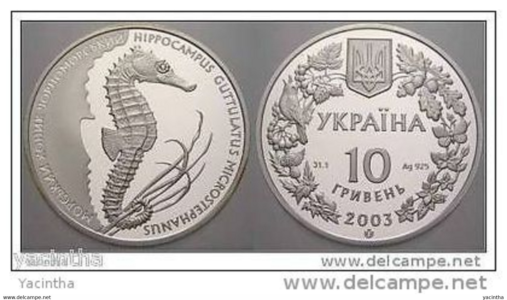 @Y@   Ukraine / Ukrain 10 Hryven 2003 `Long Snouted Seahorse` Silver Proof Coin. RARE - Ucrania