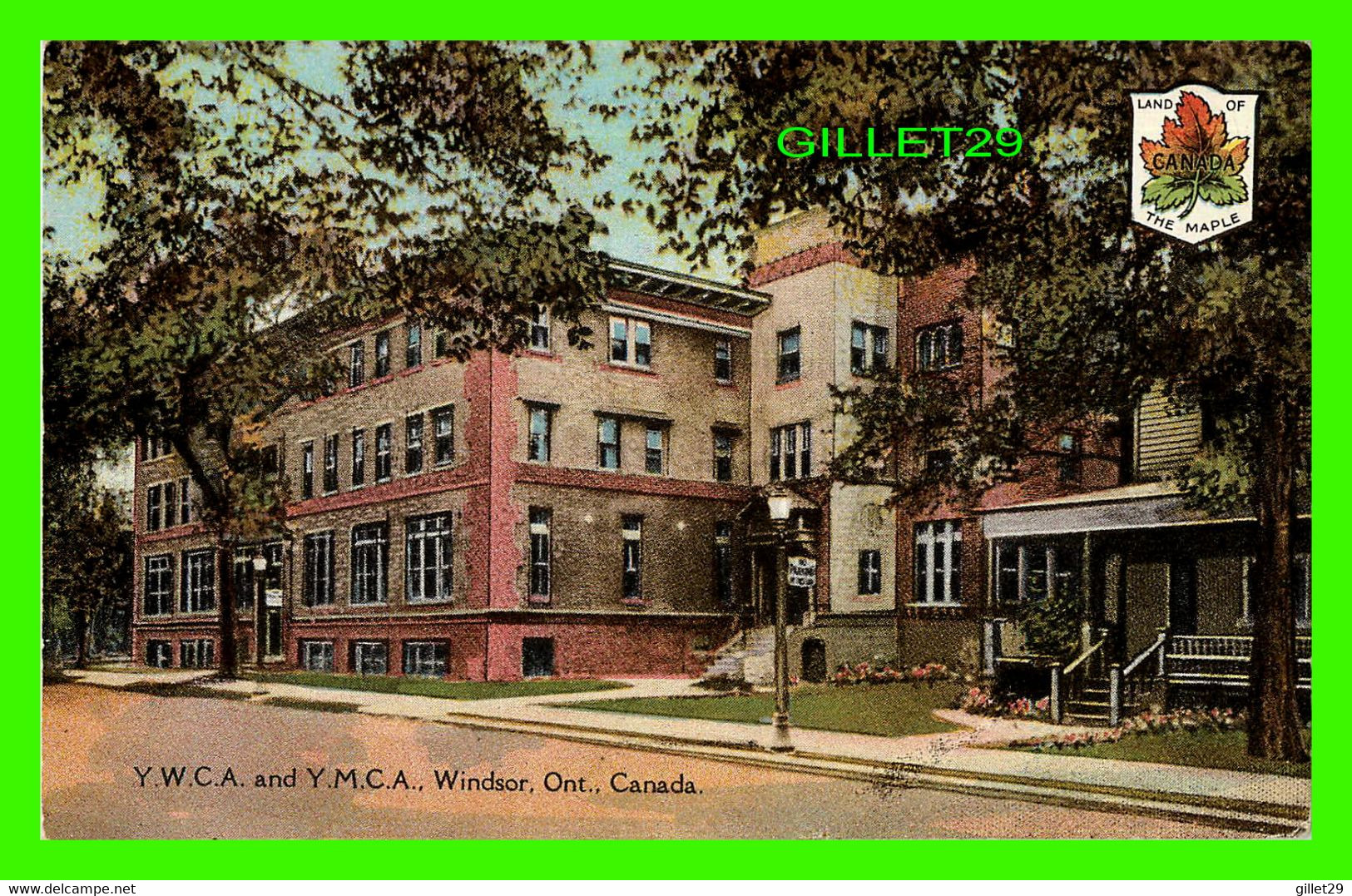 WINDSOR, ONTARIO -Y.W.C.A. AND Y.M.C.A. -  THE POST CARD & GREETING CARD CO LTD - - Windsor