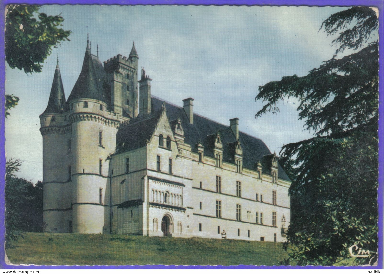 Carte Postale 86. Vouneuil Sous Vienne  Le Chateau De Chitre  Très Beau Plan - Vouneuil Sur Vienne