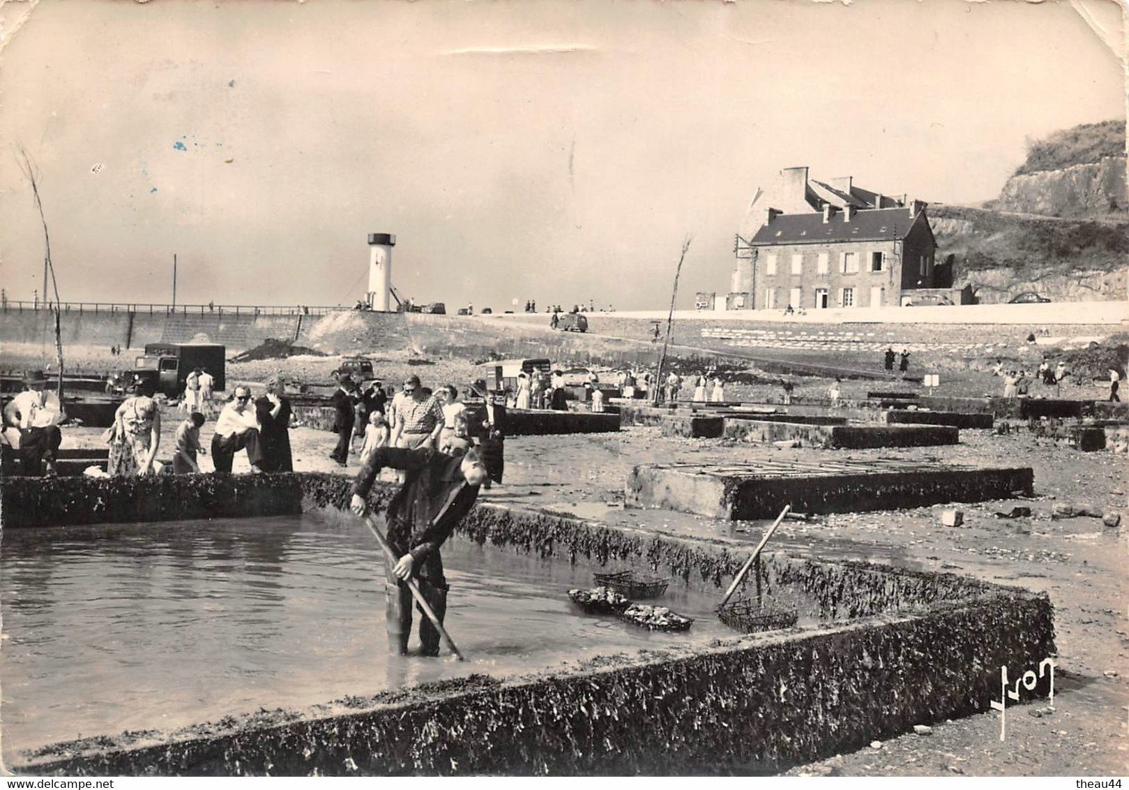 ¤¤  -    CANCALE    -  Le Lavage Des Huitres      -   ¤¤ - Cancale