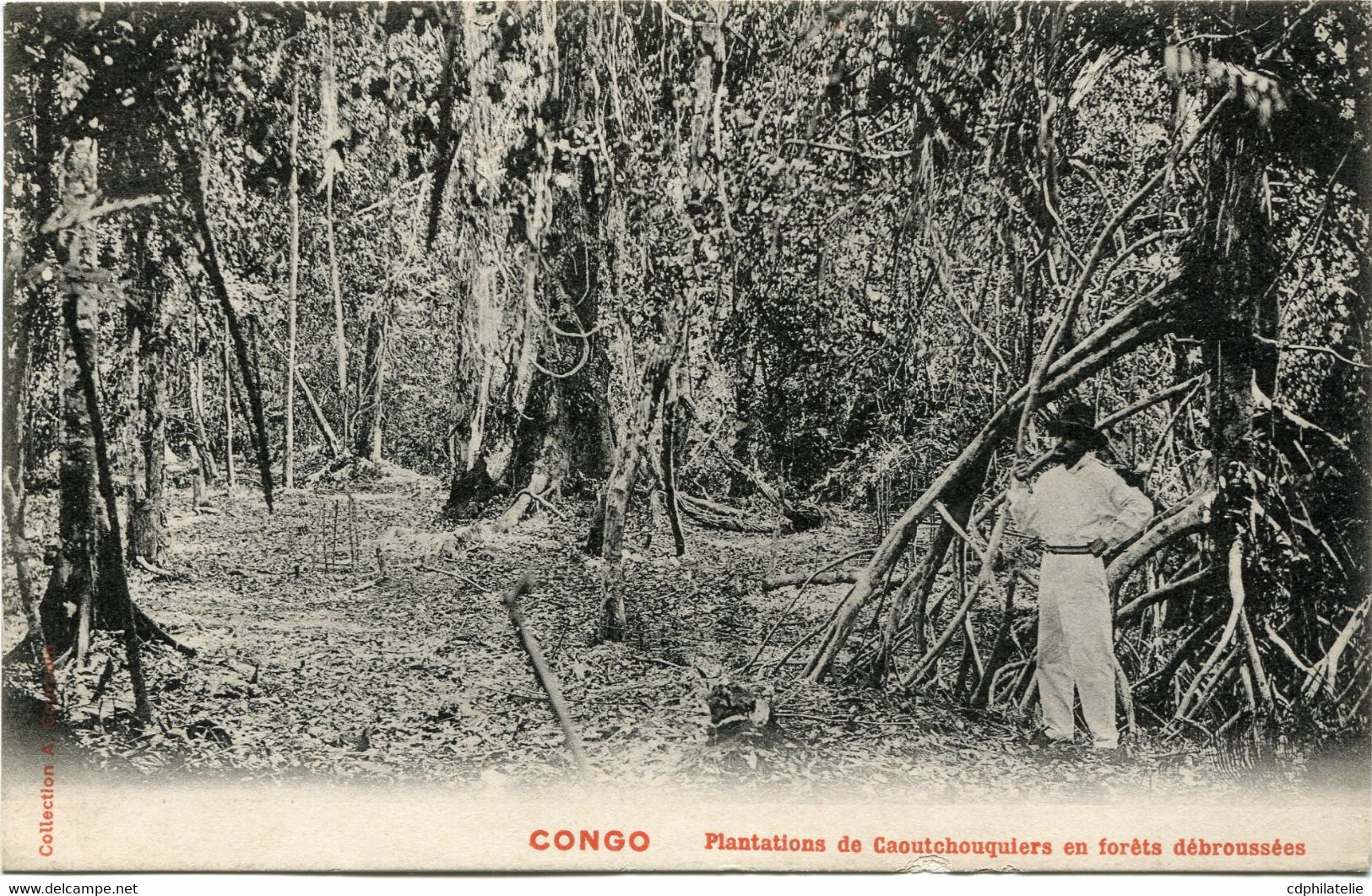 CONGO FRANCAIS CARTE POSTALE NEUVE -PLANTATIONS DE CAOUTCHOUQUIERS EN FORETS.......... AVEC AU DOS REPIQUAGE  COMMERCIAL - Briefe U. Dokumente