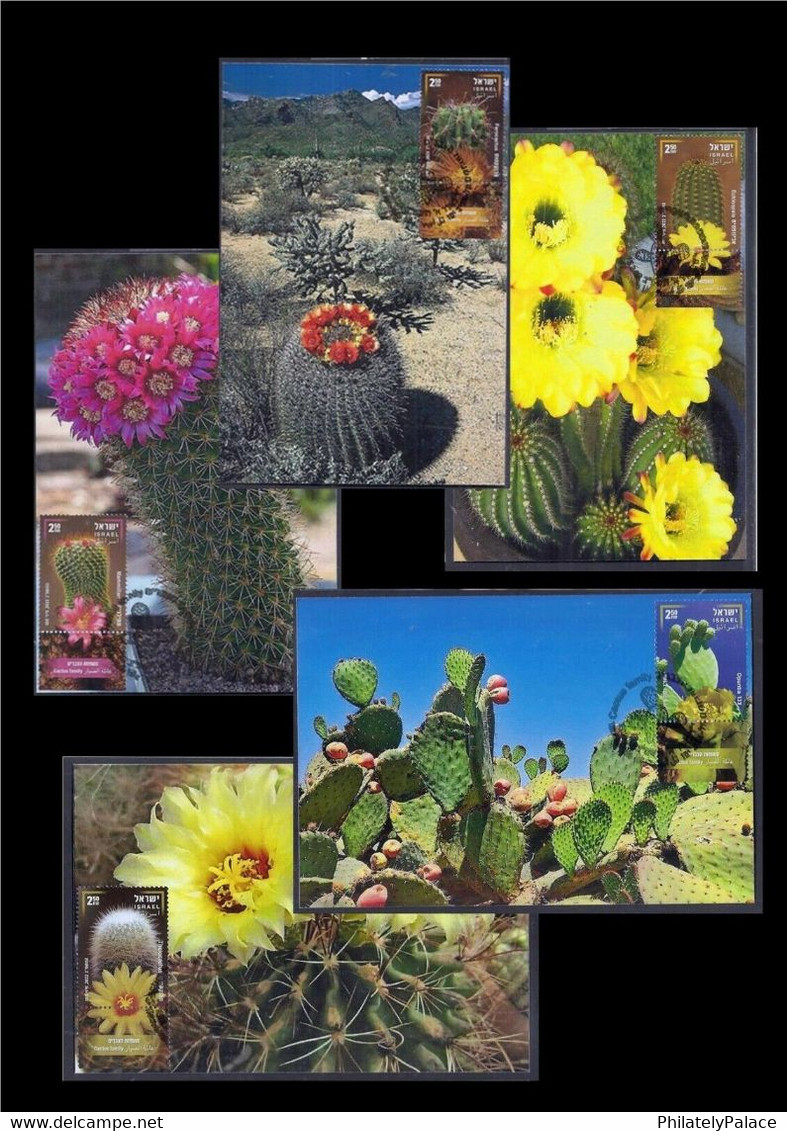 ISRAEL New *** 2022 CACTUS FAMILY SOUVENIR SHEET  FLOWERS FLORA MAXIMUM CARDS (**) - Storia Postale