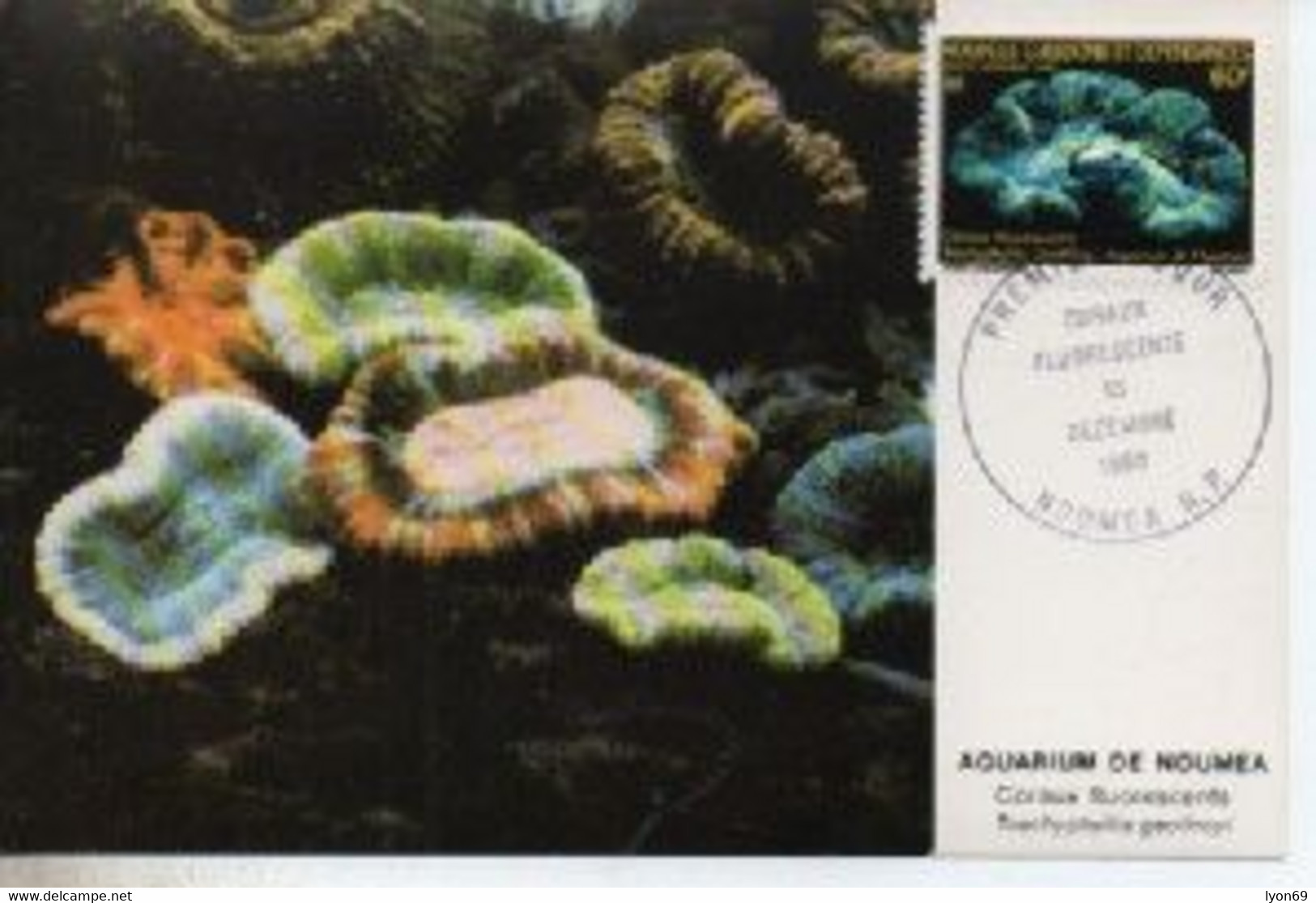 NOUVELLE CALEDONIE CORAIL      N° YVERT ET TELLIER  PA 209  1990 - Tarjetas – Máxima