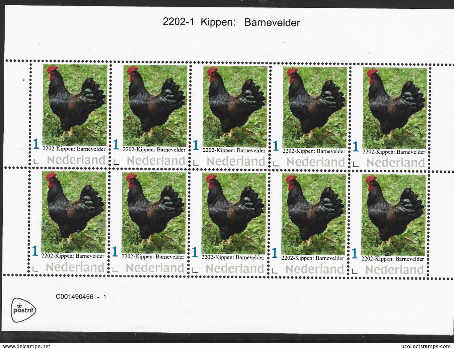 Nederland  2022-1  Kippen: Chicken  Barnevelder  Vel-sheetlet  Postfris/mnh/neuf - Neufs