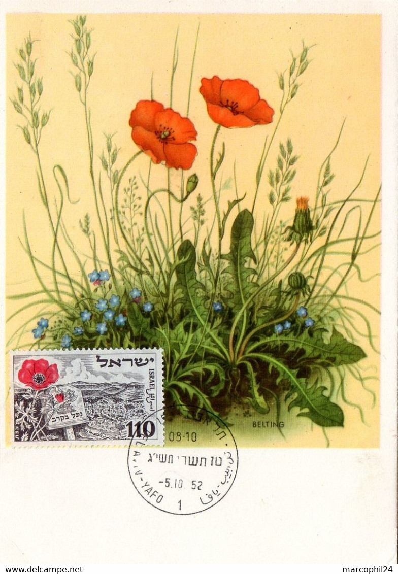 FLEUR + COQUELICOT  = ISRAEL 1952 = CARTE MAXIMUM + N° Yvert  56 - Tarjetas – Máxima