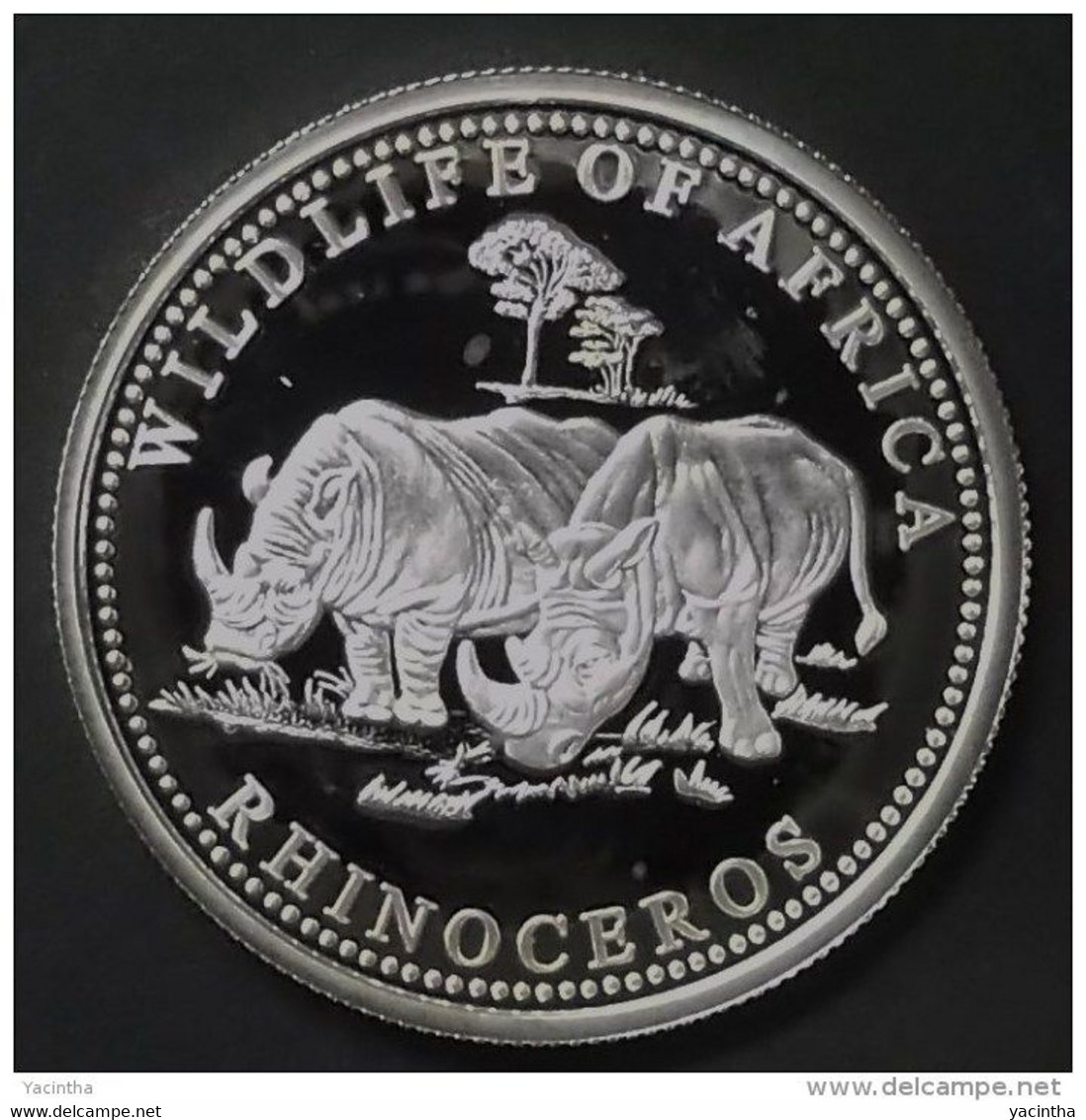 @Y@   Somalie  250 Shilling 2000 Proof   Zilver - Somalia