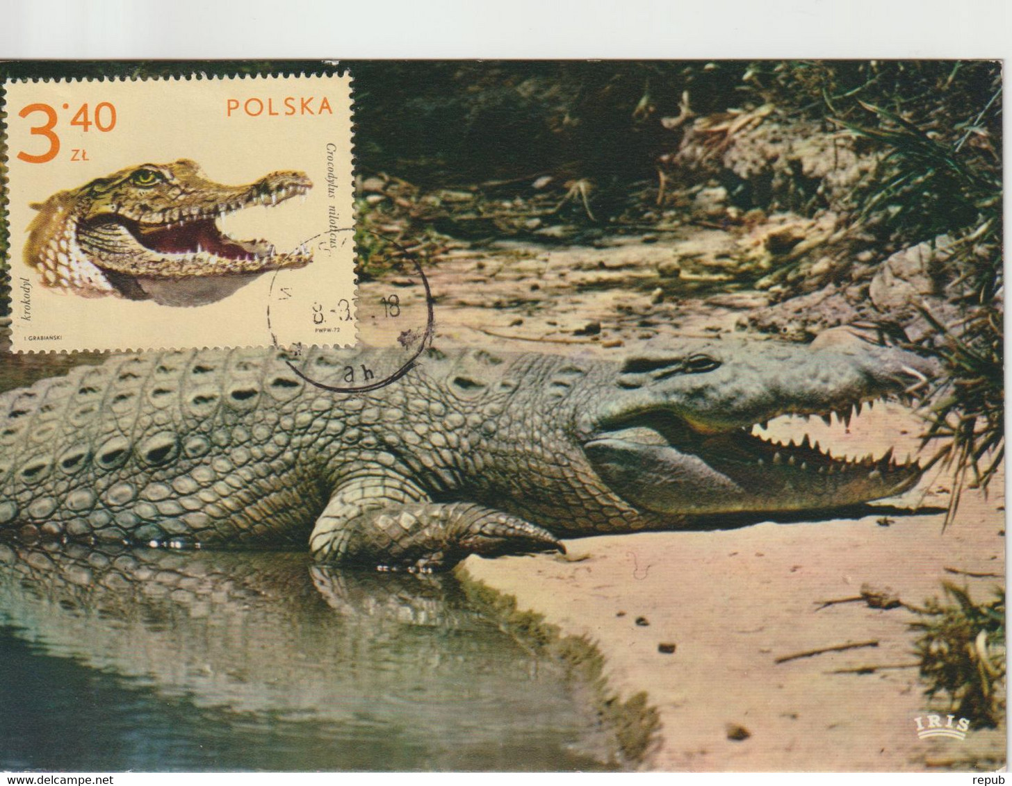 Pologne Carte Maximum 1972 Crocodile 2012 - Maximumkaarten