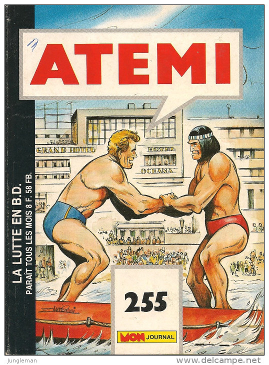 Atémi N° 255 - Editions Aventures Et Voyages - Mensuel - Avec Puma Noir - Top Secret - Boxe - Décembre 1988 - TBE - Atemi