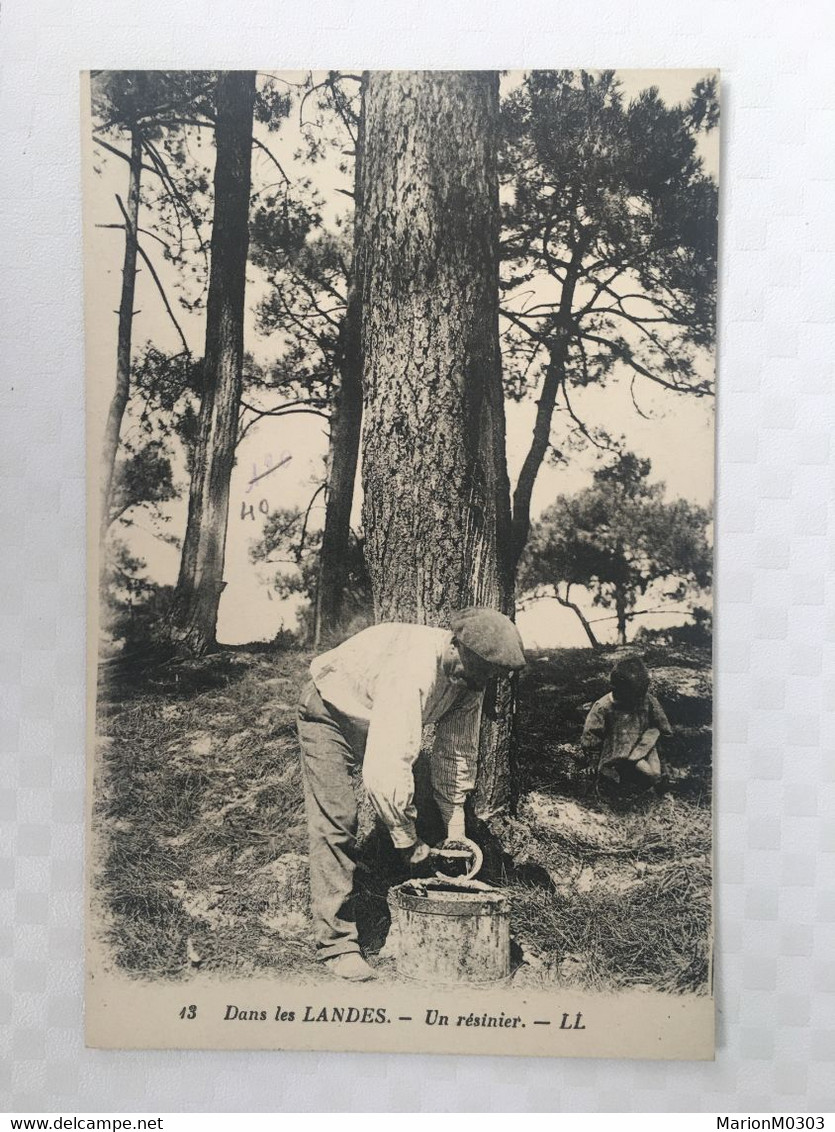 40 - TYPES LANDAIS - Dans Les LANDES - Un Résinier - 205 - Autres & Non Classés