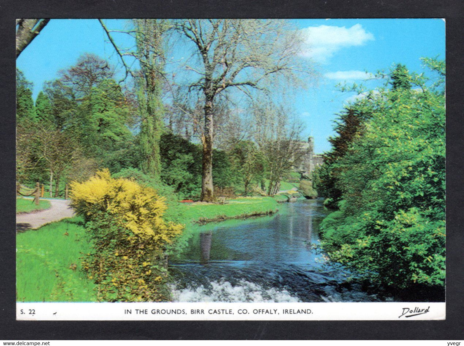 Ireland - OFFALY - In The Grounds , Birr Castle ( Dollard N° S. 22) - Offaly