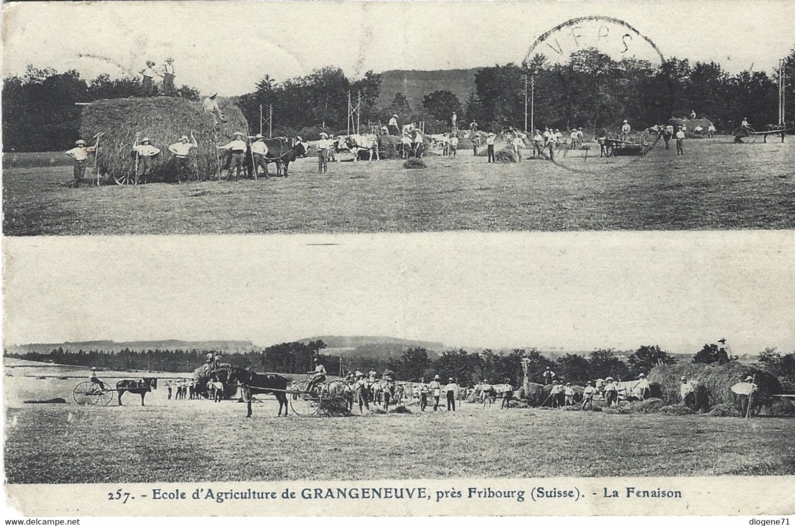 Ecole D'agriculture De Grangeneuve La Fenaison - Sonstige & Ohne Zuordnung