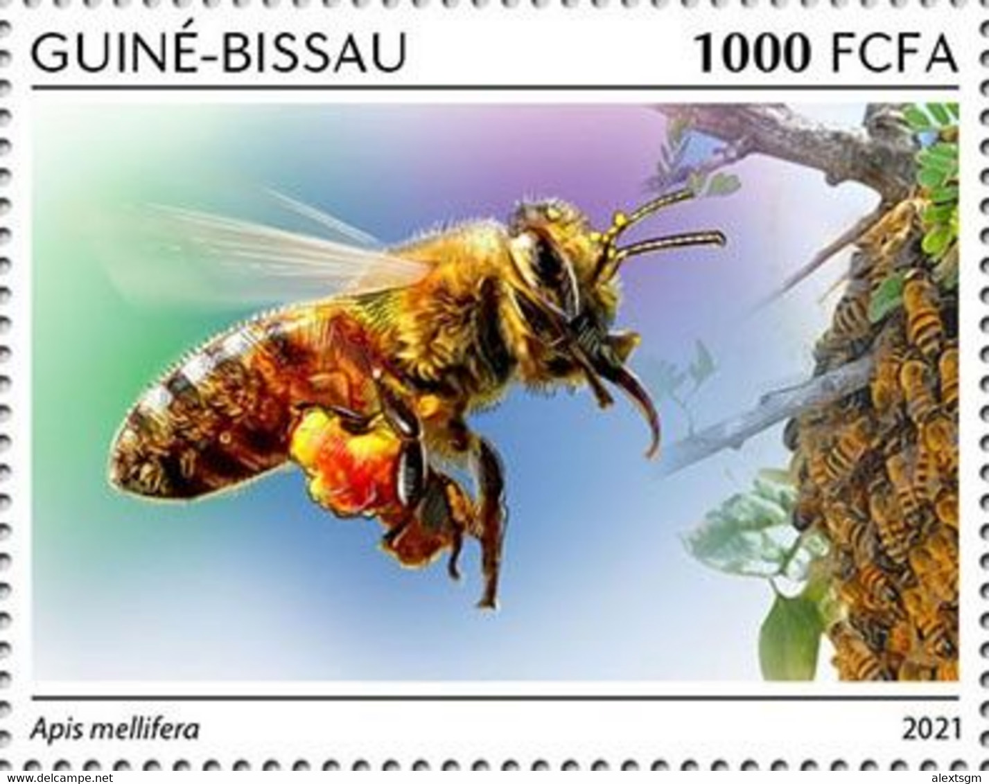 GUINEA BISSAU 2021 - Bees, 1v. Official Issue [GB210612a] - Honeybees