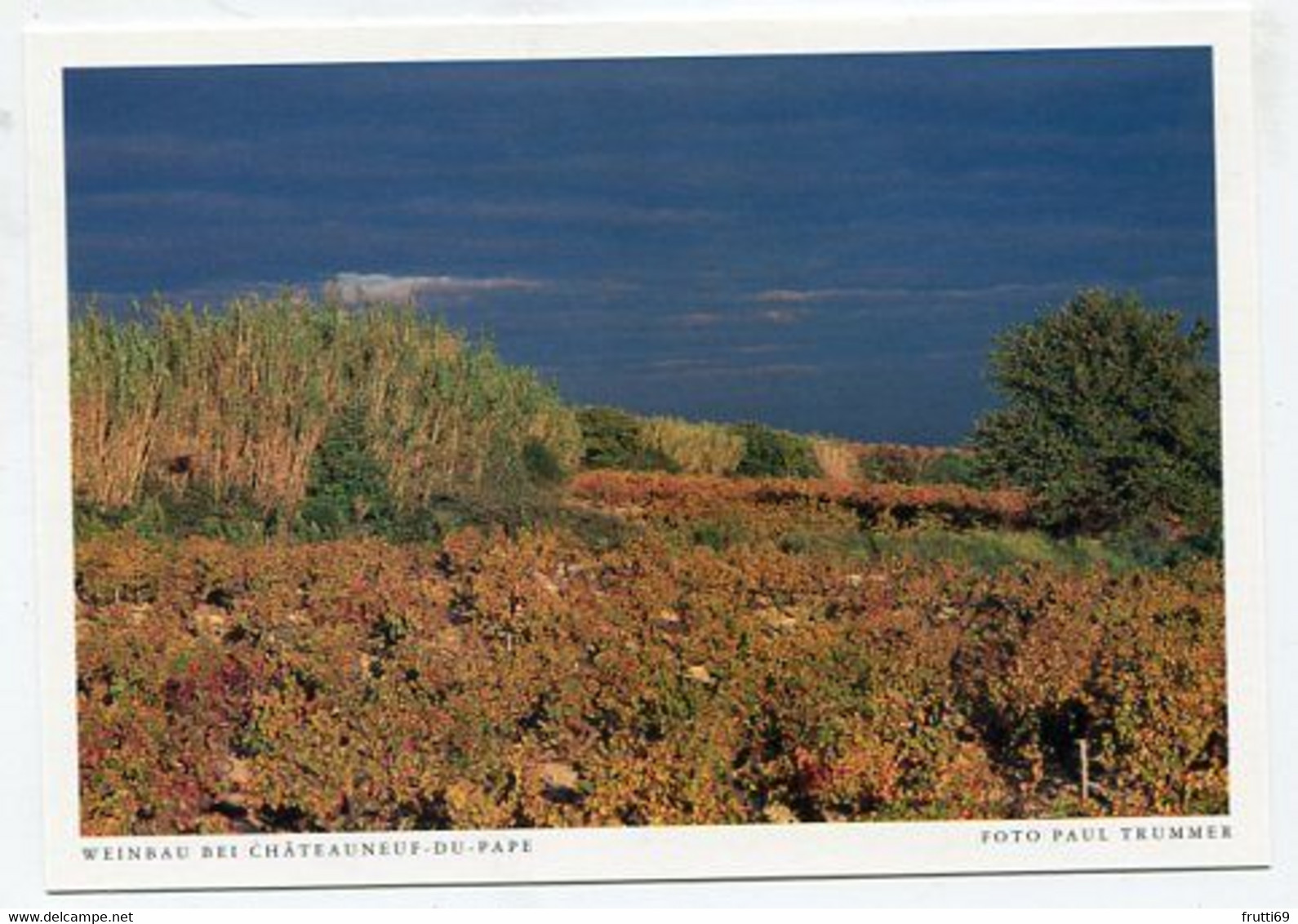 AK 038730 FRANCE - Weinbau Bei Chateauneuf-du-Pape - Chateauneuf Du Pape