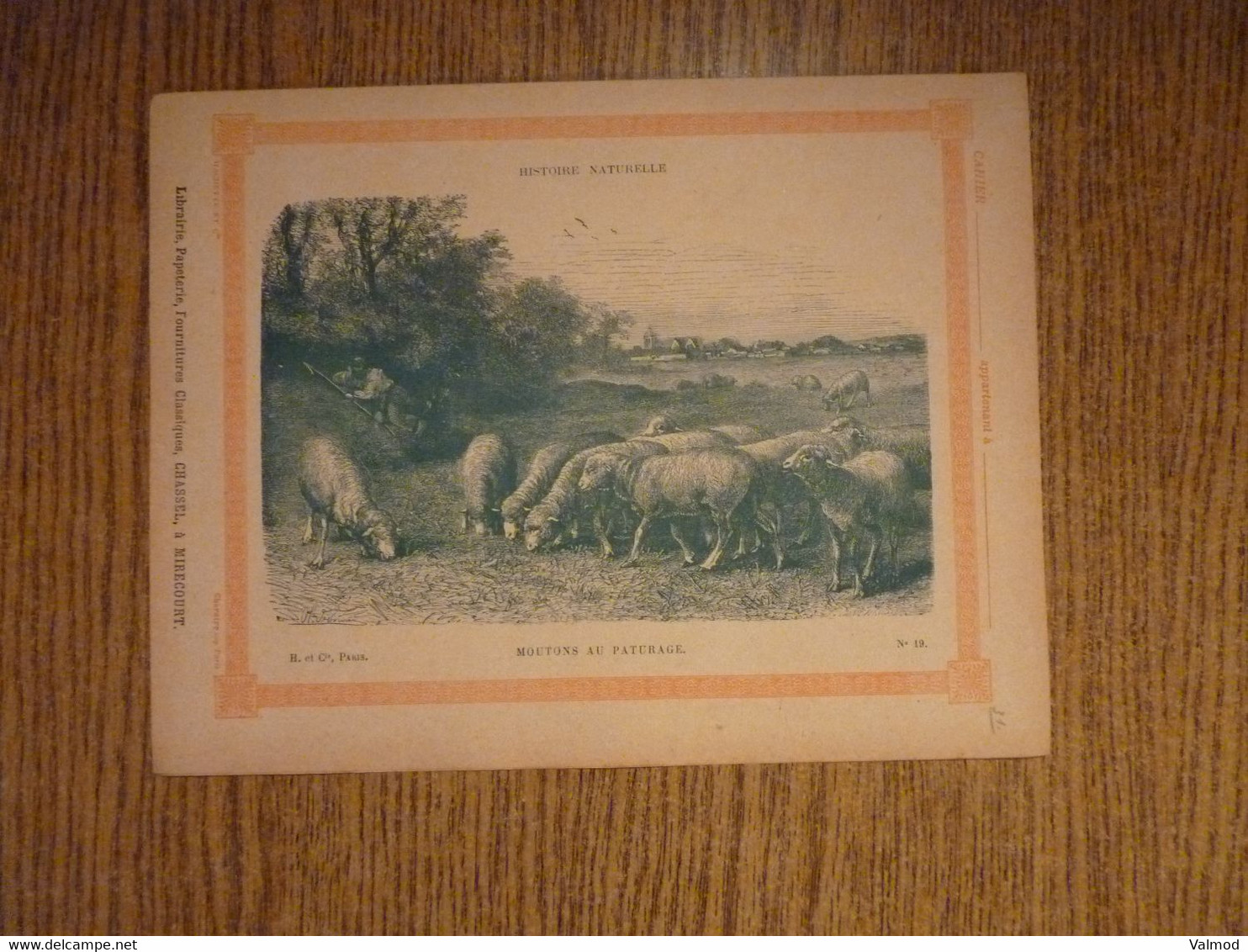 Protège-Cahier/Couverture "Moutons Au Pâturage - Histoire Naturelle" - Format Plié 22,3x 17,2 Cm Env. - Protège-cahiers