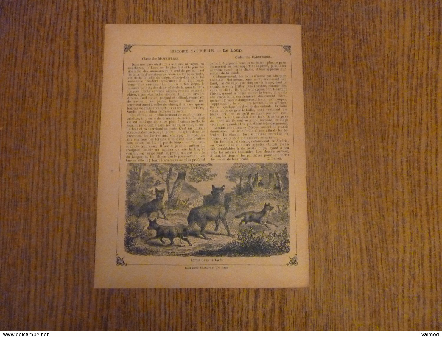 Protège-Cahier/Couverture "Les Loups - Histoire Naturelle" - Format Plié 22,3x 17,2 Cm Env. - Protège-cahiers