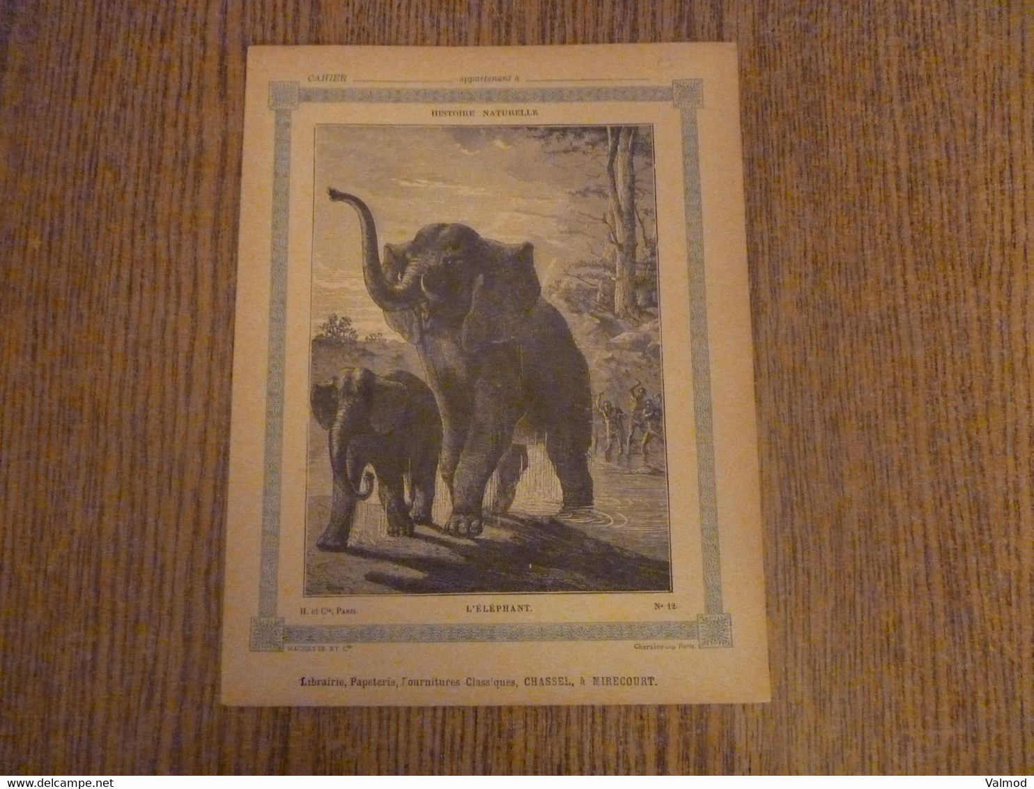 Protège-Cahier/Couverture "L'Elephant - Histoire Naturelle" - Format Plié 22,3x 17,2 Cm Env. - Protège-cahiers