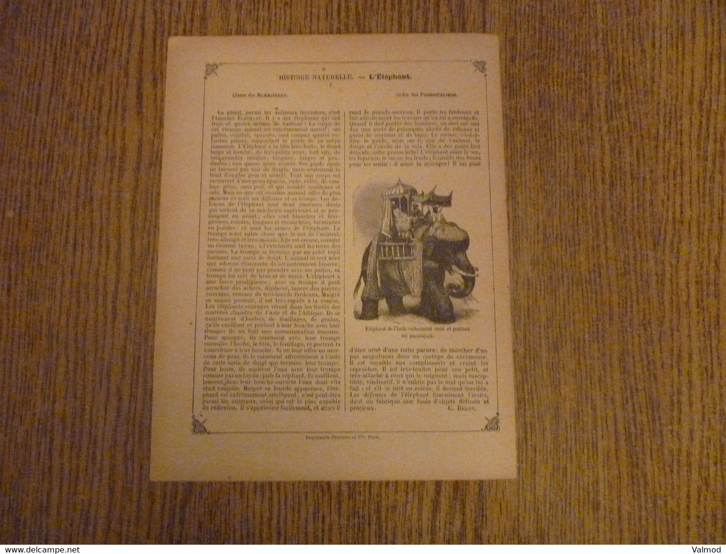 Protège-Cahier/Couverture "L'Elephant - Histoire Naturelle" - Format Plié 22,3x 17,2 Cm Env. - Protège-cahiers