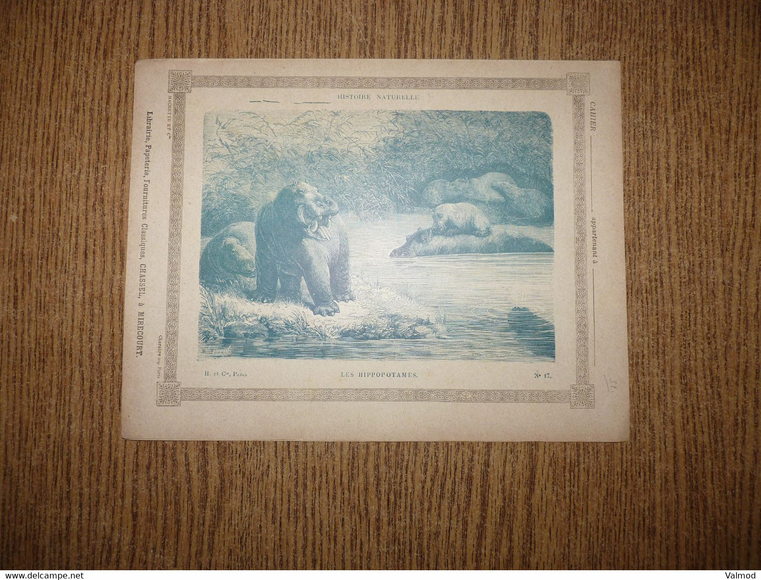 Protège-Cahier/Couverture "Les Hippopotames - Histoire Naturelle" - Format Plié 22,3x 17,2 Cm Env. - Protège-cahiers