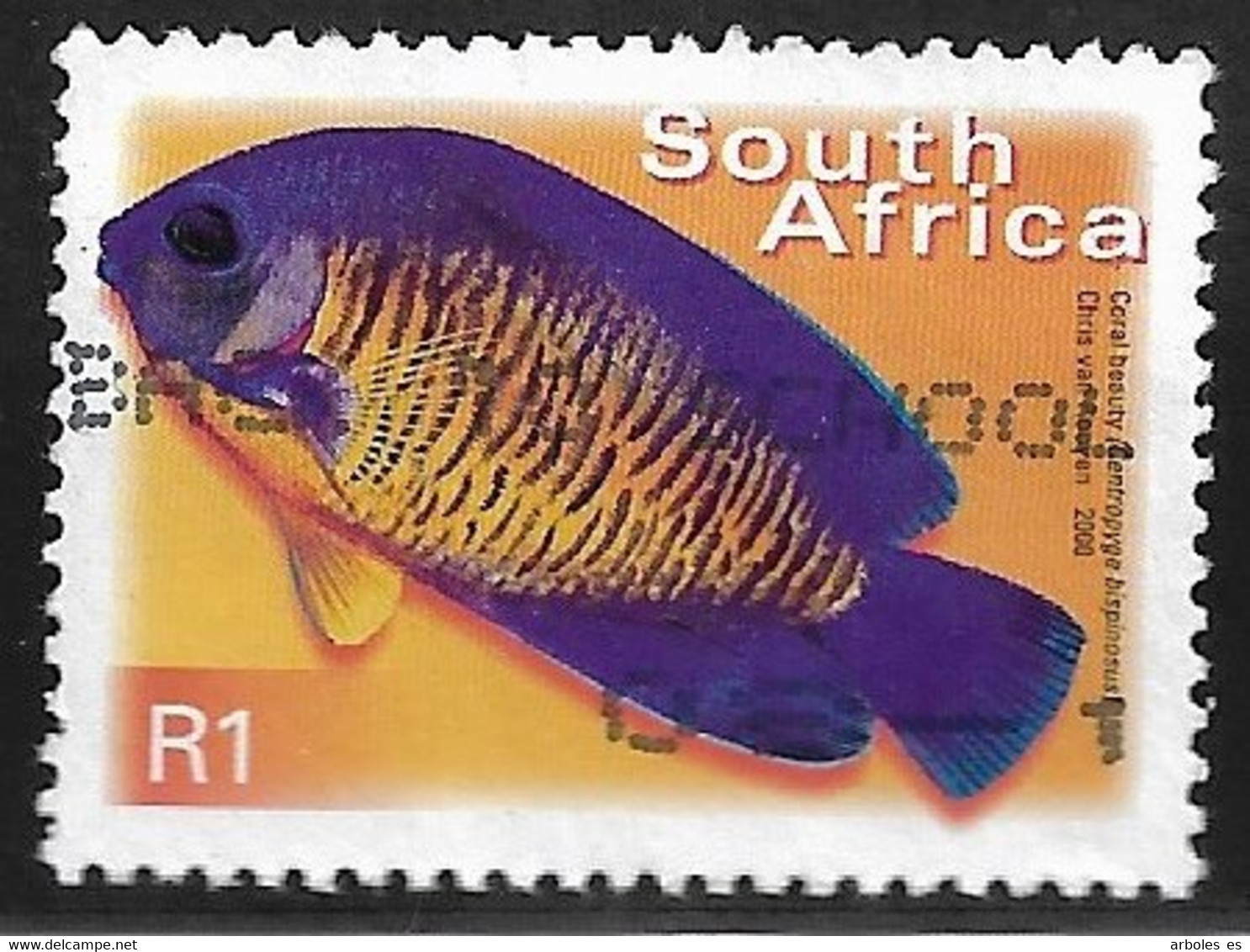 SUDAFRICA - PECES - AÑO 2000 - Nº  CATALOGO  YVERT 1127N - USADO - Used Stamps