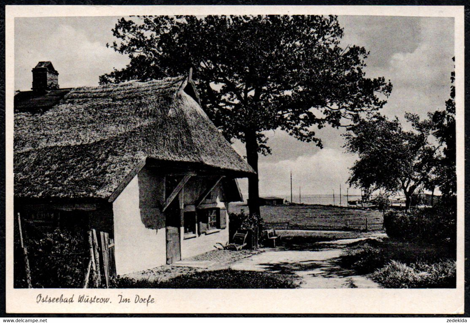 A6938 - Wustrow Steilküste - Verlag E. Rubin - Fischland/Darss