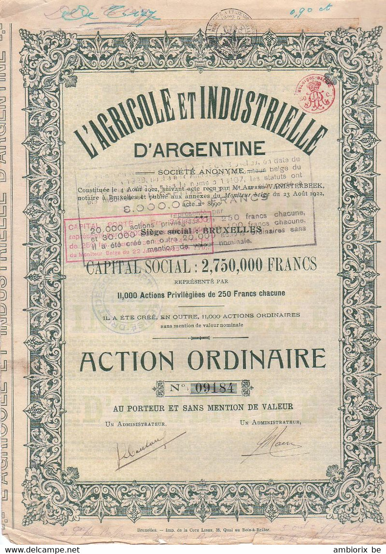 L'Agricole Et Industrielle D'Argentine - Bruxelles - Action Ordinaire - Capital 2 750 000  - 1922 - Agriculture