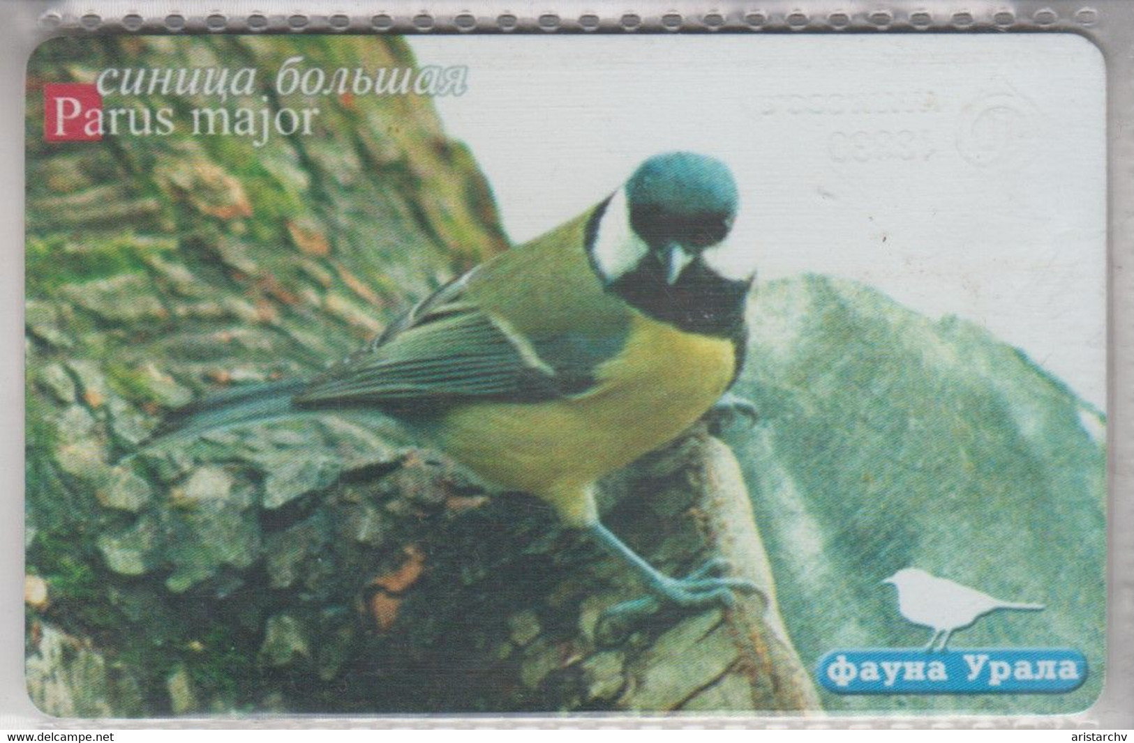 RUSSIA 2004 BIRDS BIG TITMOUSE - Uccelli Canterini Ed Arboricoli