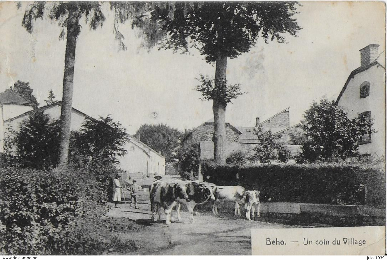 Julot1939 ..-- BEHO ..-- VACHES Au VILLAGE . Vers FRANCHIMONT ( Melle Renée COMPERE ) . Voir Verso . - Gouvy