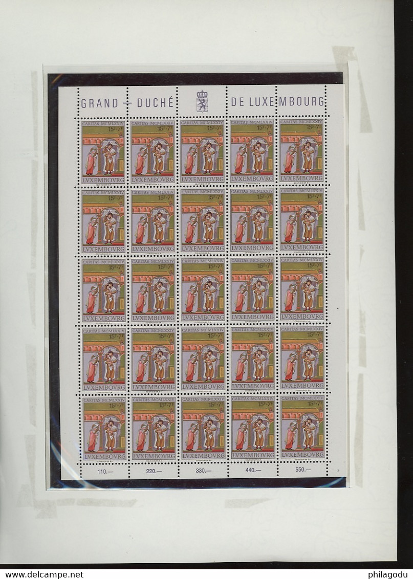 1974. Caritas Yv.843-847 **. En Feuillets Complètes Avec Bords. Cote Yv.  150-euros - Volledige Vellen