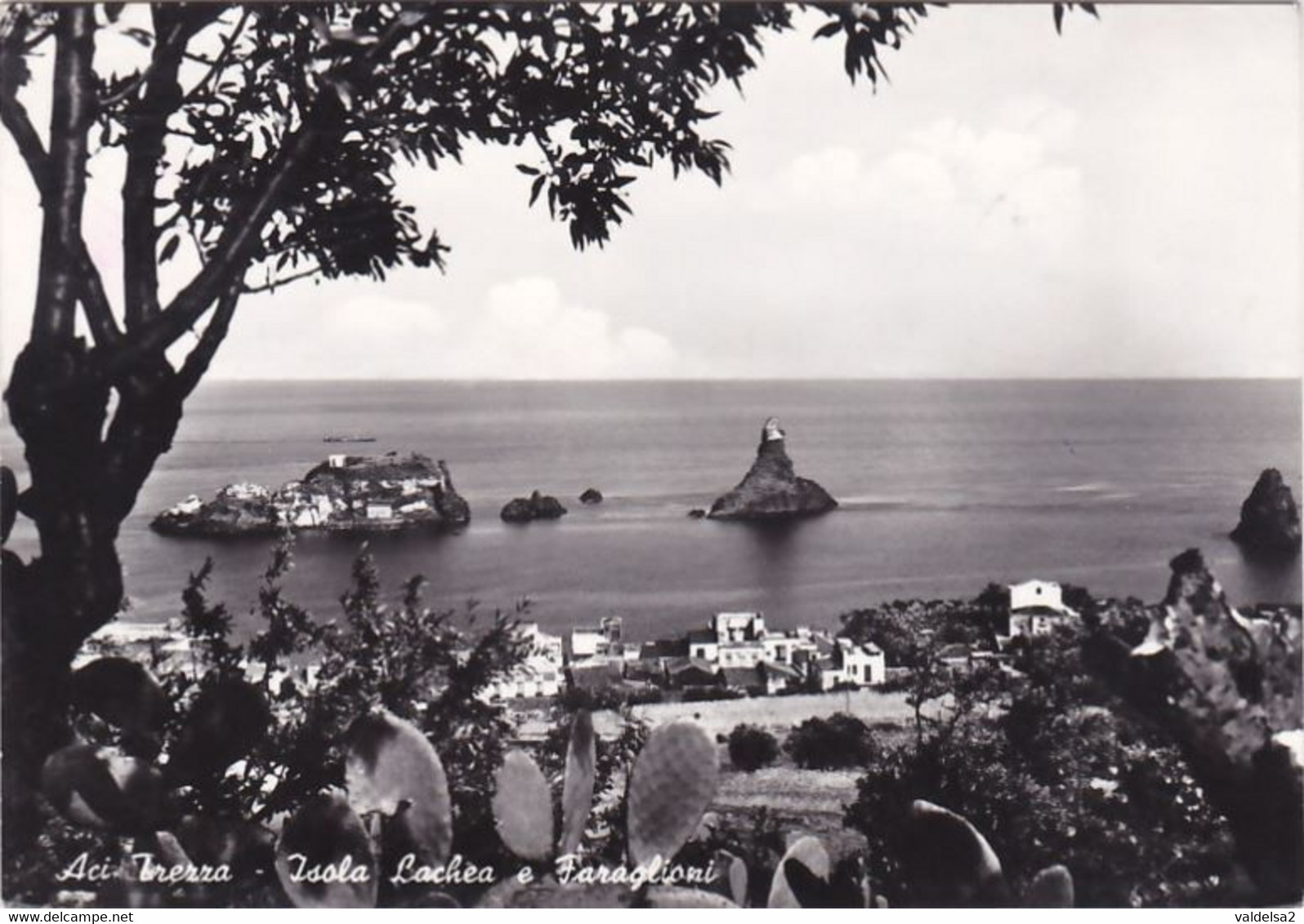 ACI TREZZA - DINTORNI DI ACI CASTELLO E ACIREALE - CATANIA - ISOLA LACHEA E FARAGLIONI - FICHI D'INDIA - 1960 - Acireale