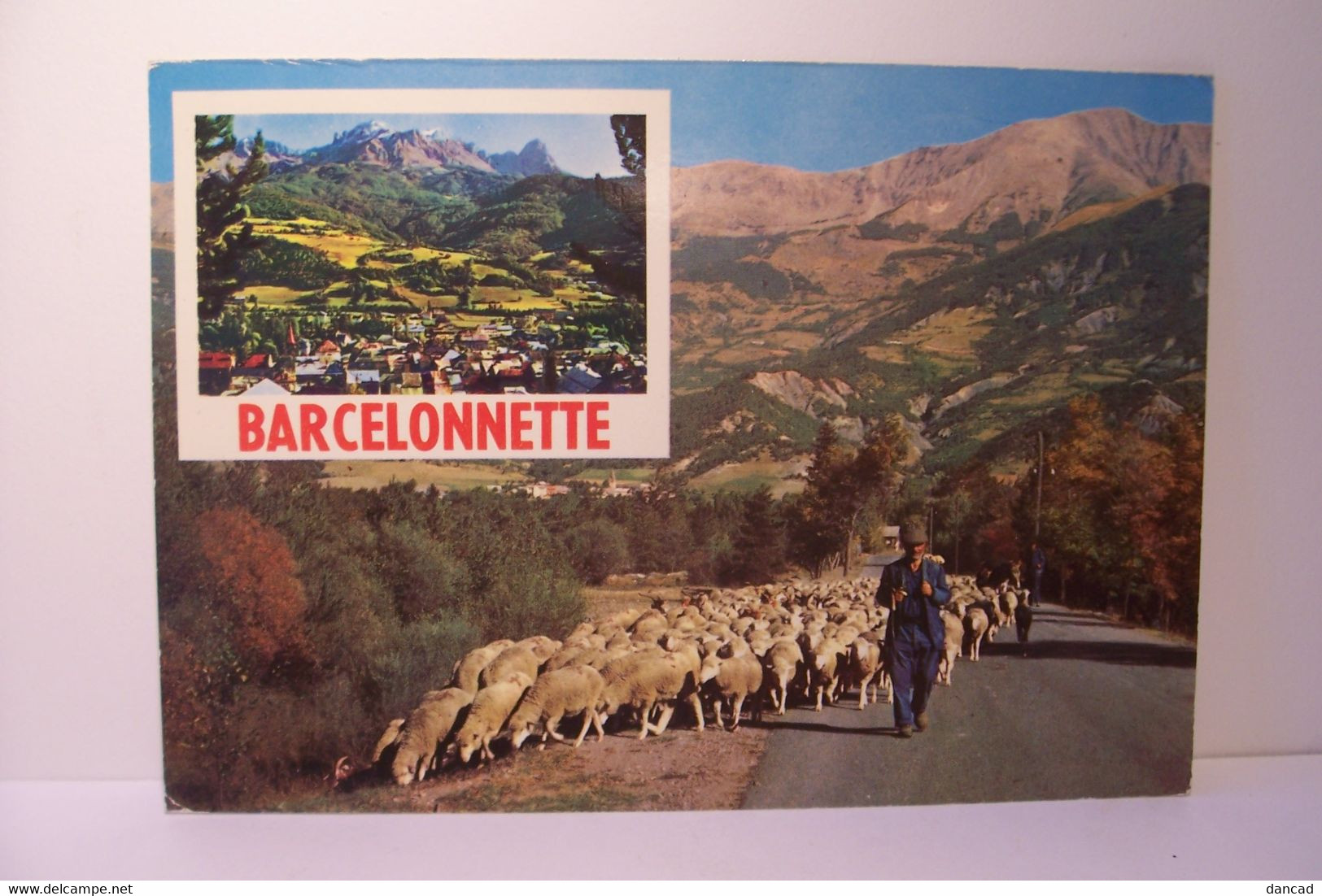 BARCELONNETTE  - Moutons - Berger - Multivues - Barcelonnette