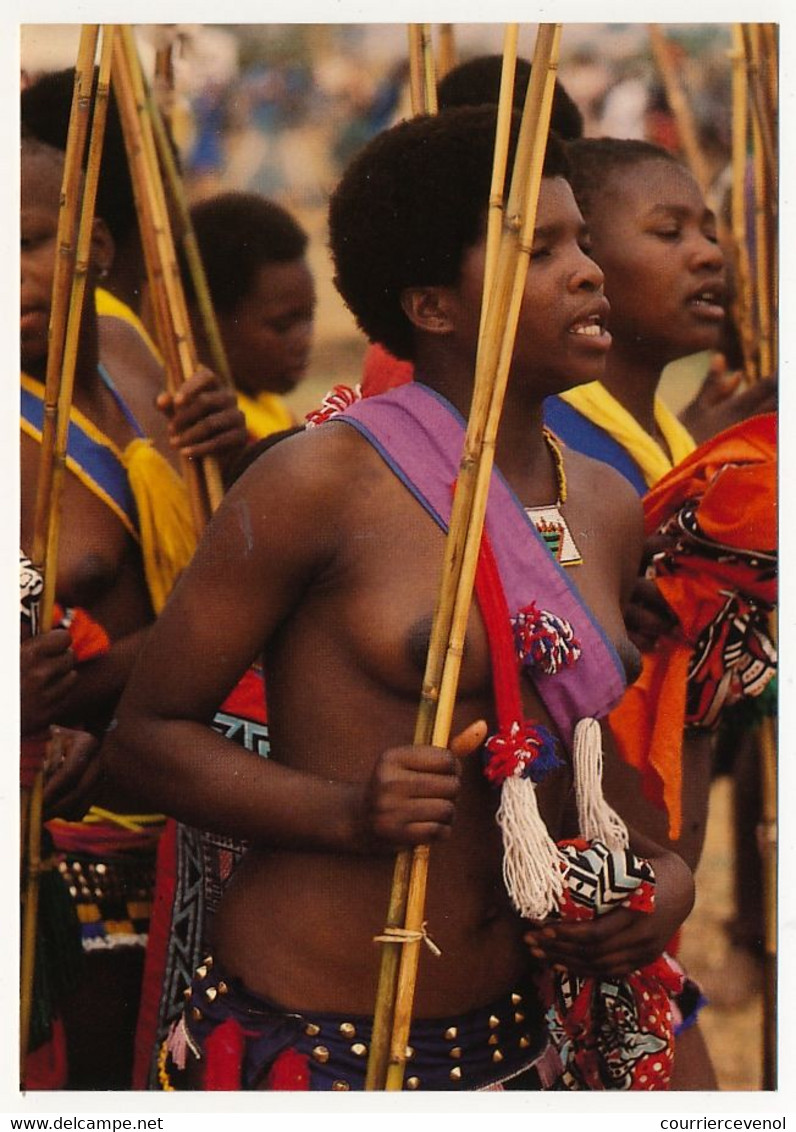 8 CPM - AFRIQUE DU SUD - Guerriers Swazi, Guerriers Zoulous, Danses De Cérémonies - Zuid-Afrika