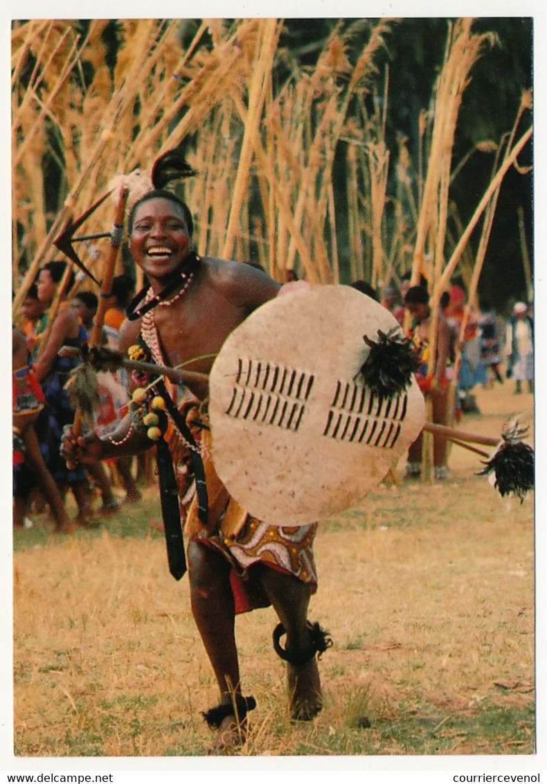 8 CPM - AFRIQUE DU SUD - Guerriers Swazi, Guerriers Zoulous, Danses De Cérémonies - Südafrika