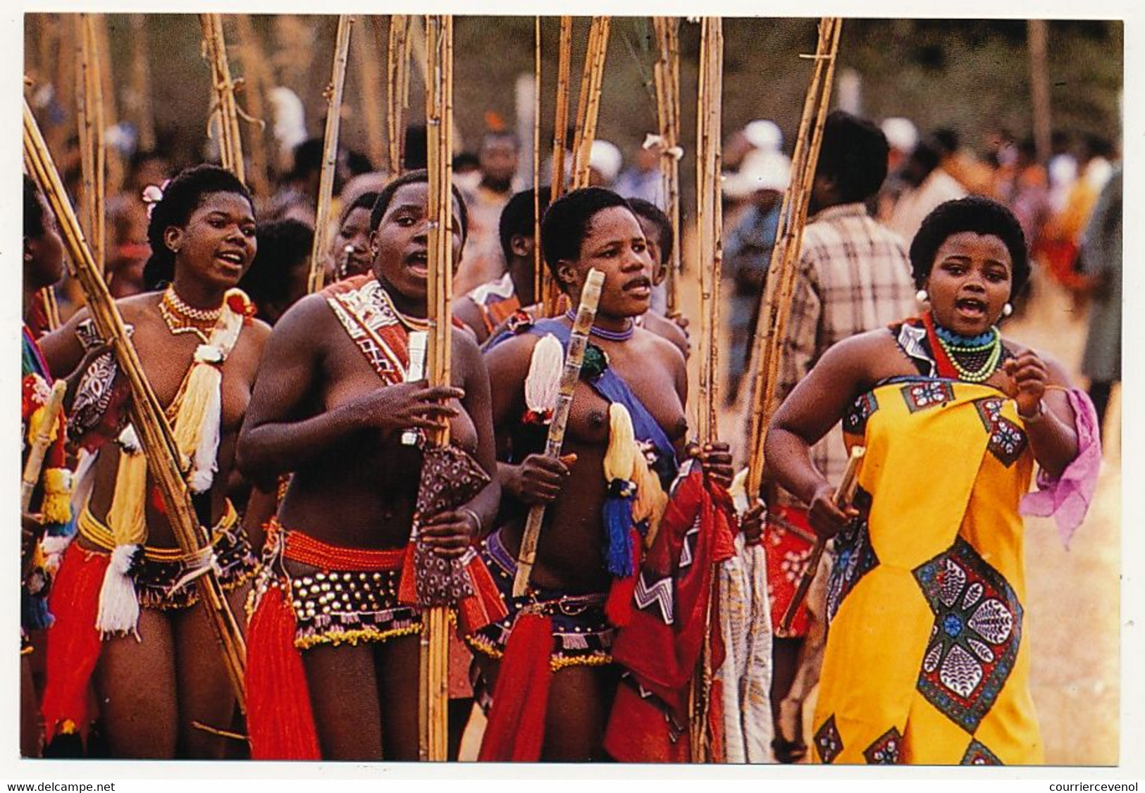 8 CPM - AFRIQUE DU SUD - Guerriers Swazi, Guerriers Zoulous, Danses De Cérémonies - Afrique Du Sud