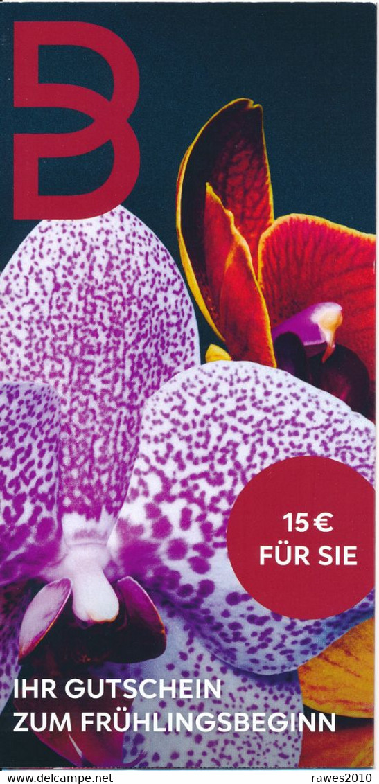 Stuttgart 2022 Blume Orchidee Frauenschuh Breuninger Mode - Flores