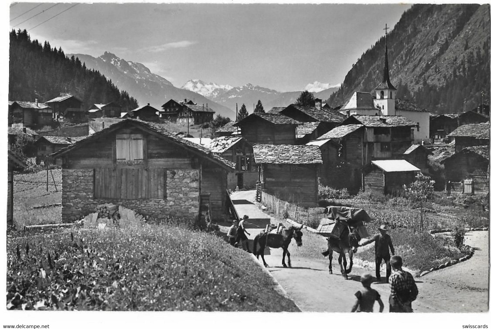 BLATTEN: Maultierpost Nach Belalp 1957 - Blatten