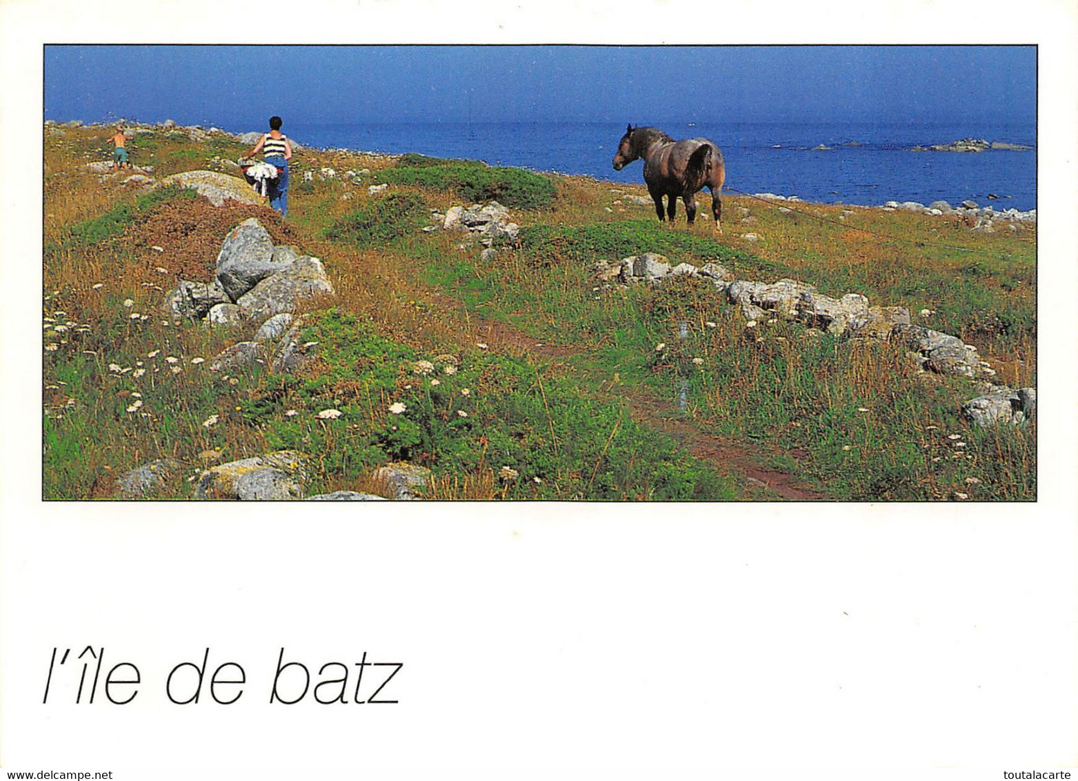 CPSM 29 ILES DE BATZ  PROMENADES COTIERES - Ile-de-Batz