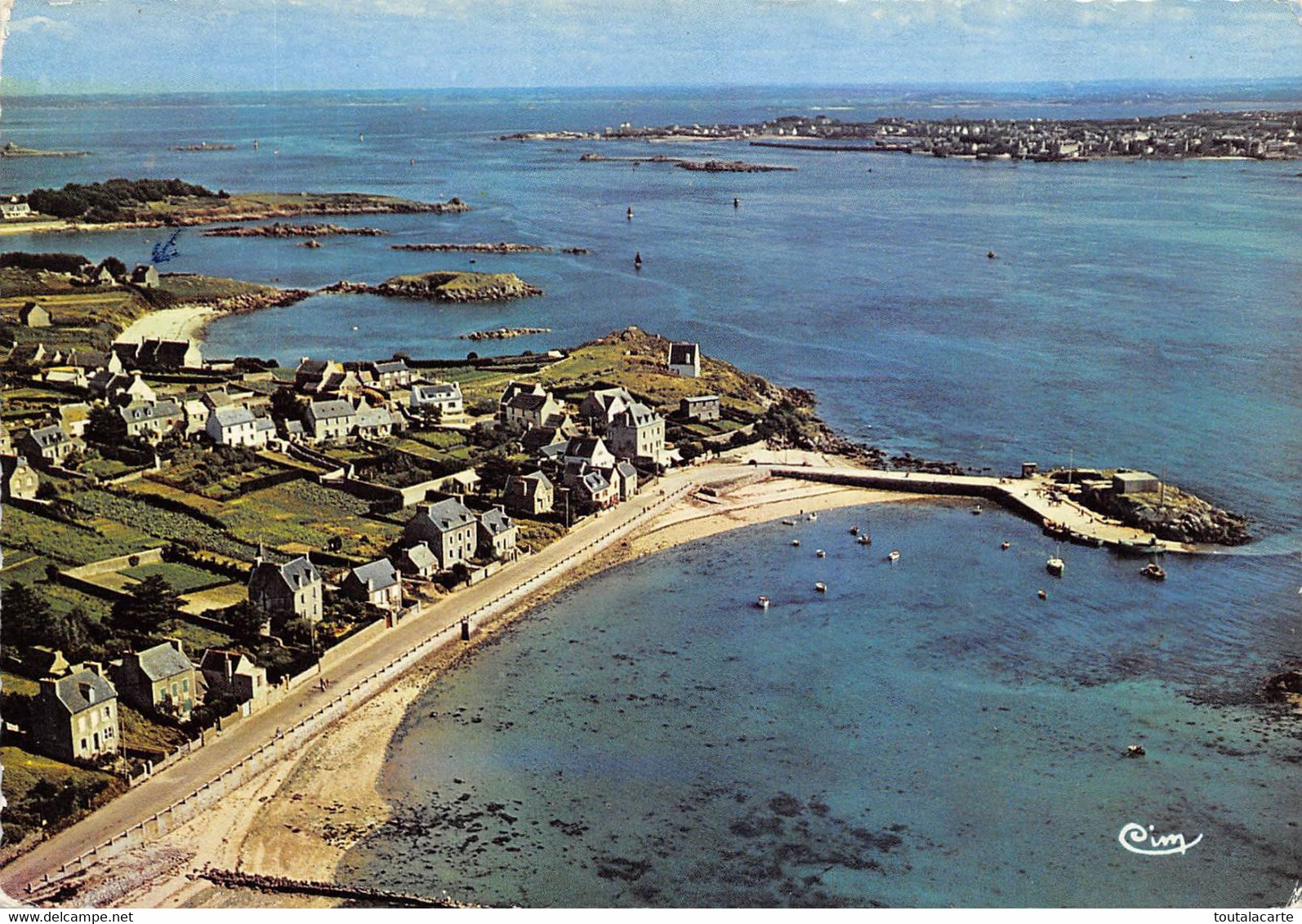 CPSM 29 ILES DE BATZ  VUE AERIENNE LE PORT ET AU LOIN ROSCOFF - Ile-de-Batz