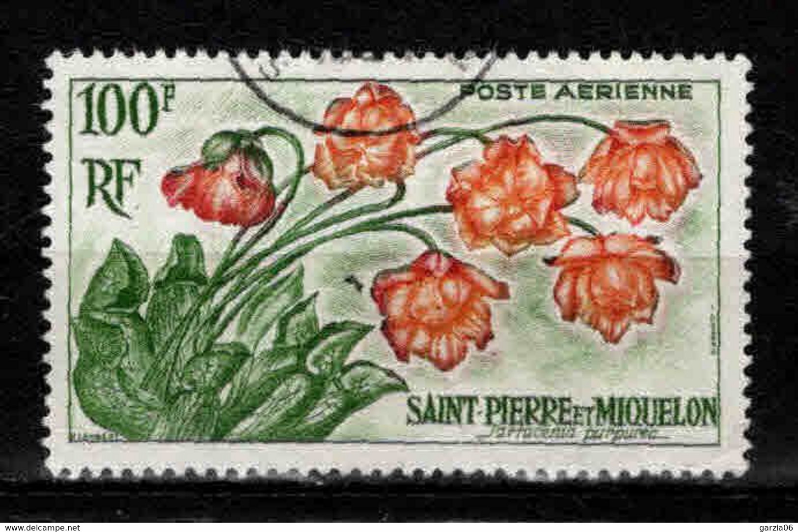 St Pierre Et Miquelon  - 1962 -  Plantes  - PA 27  - Oblit - Used - Gebruikt