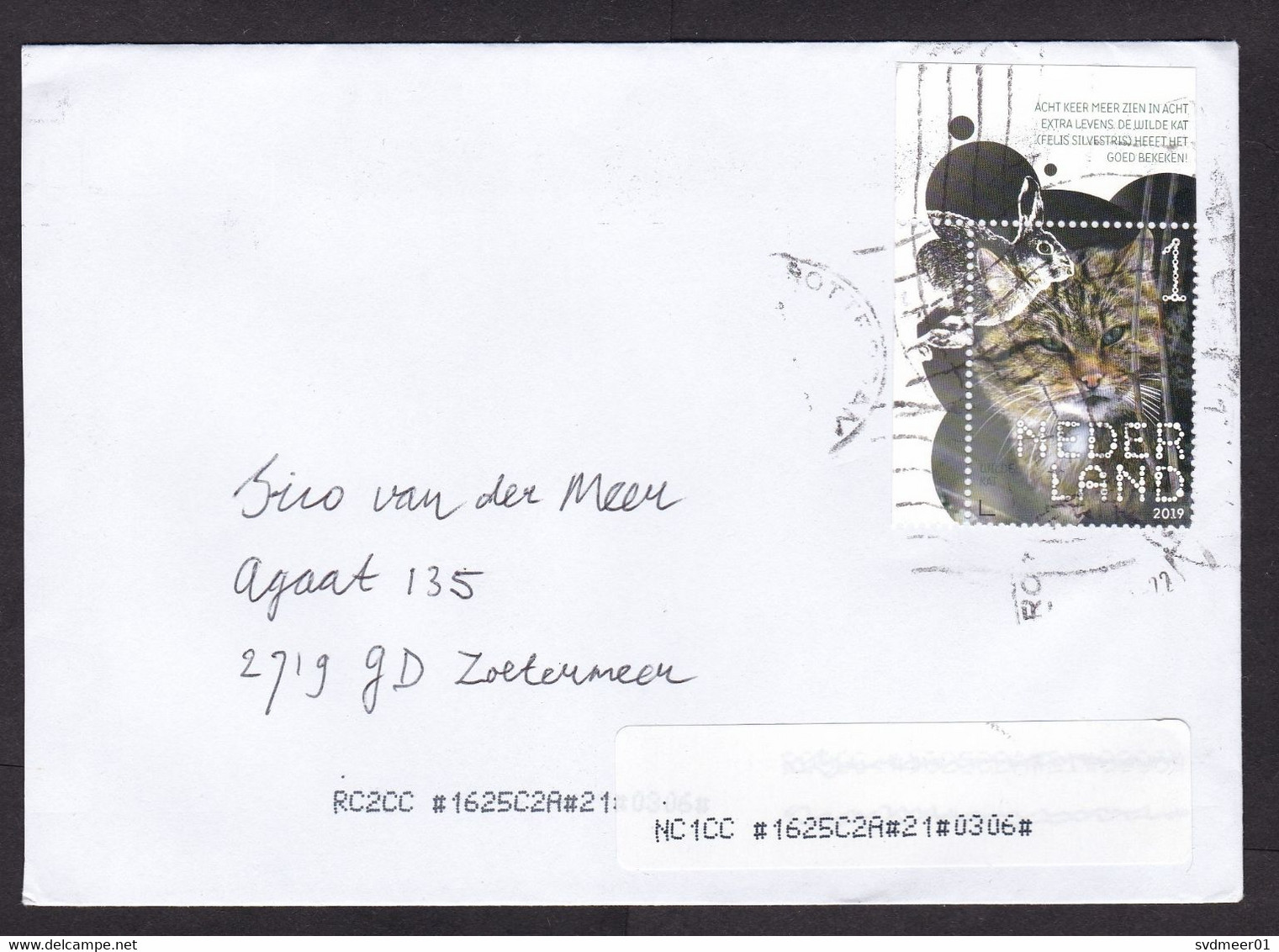 Netherlands: Cover, 2022, 1 Stamp + Tab, Wild Cat, Animal, Sorting Label (traces Of Use) - Lettres & Documents