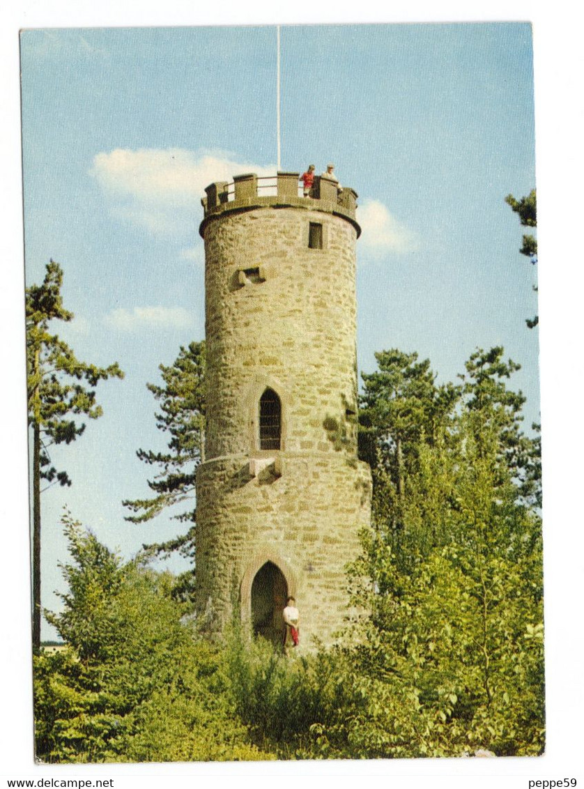 Cartolina Postale - Germania -  Buchen - Viaggiata - Buchen