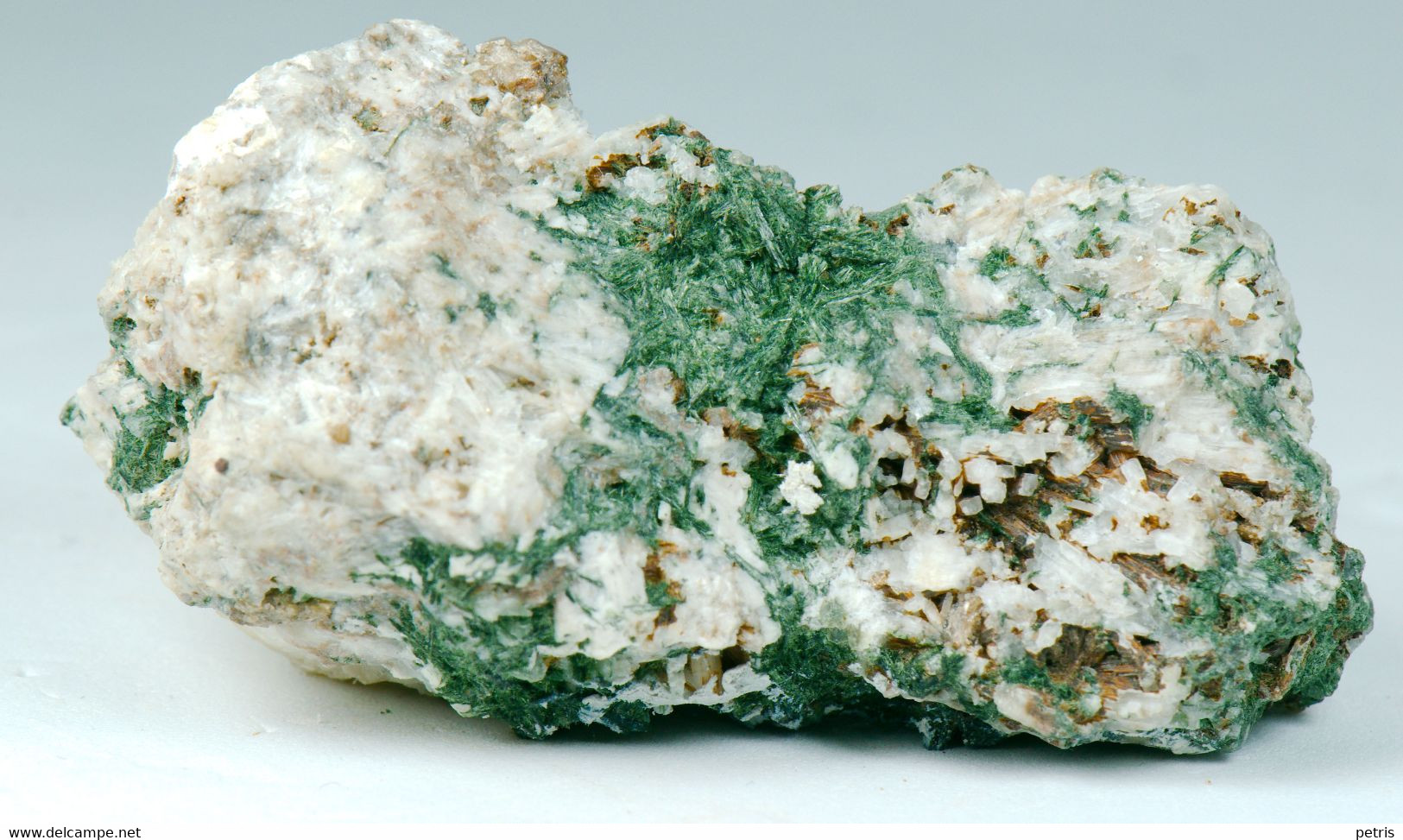 Small But Beauty - Zirconi, Aegirina E Natrolite (Penisola Di Kola, Russia) - Lot. S 760 - Minéraux