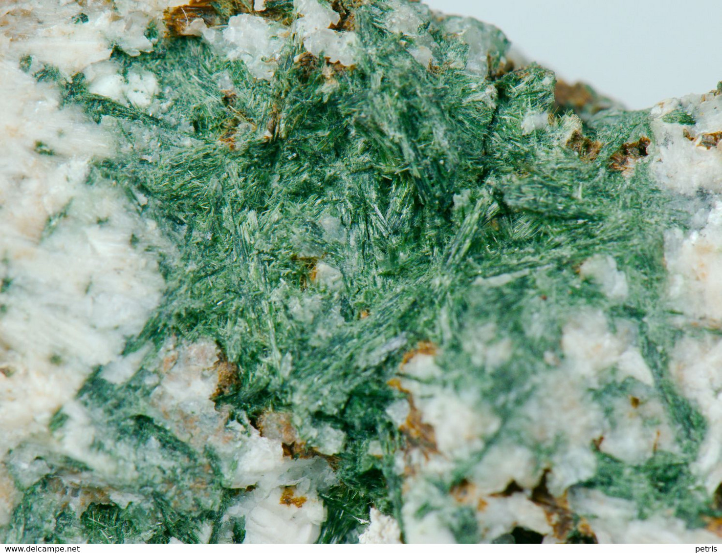 Small but beauty - Zirconi, Aegirina e natrolite (Penisola di Kola, Russia) - Lot. S 760