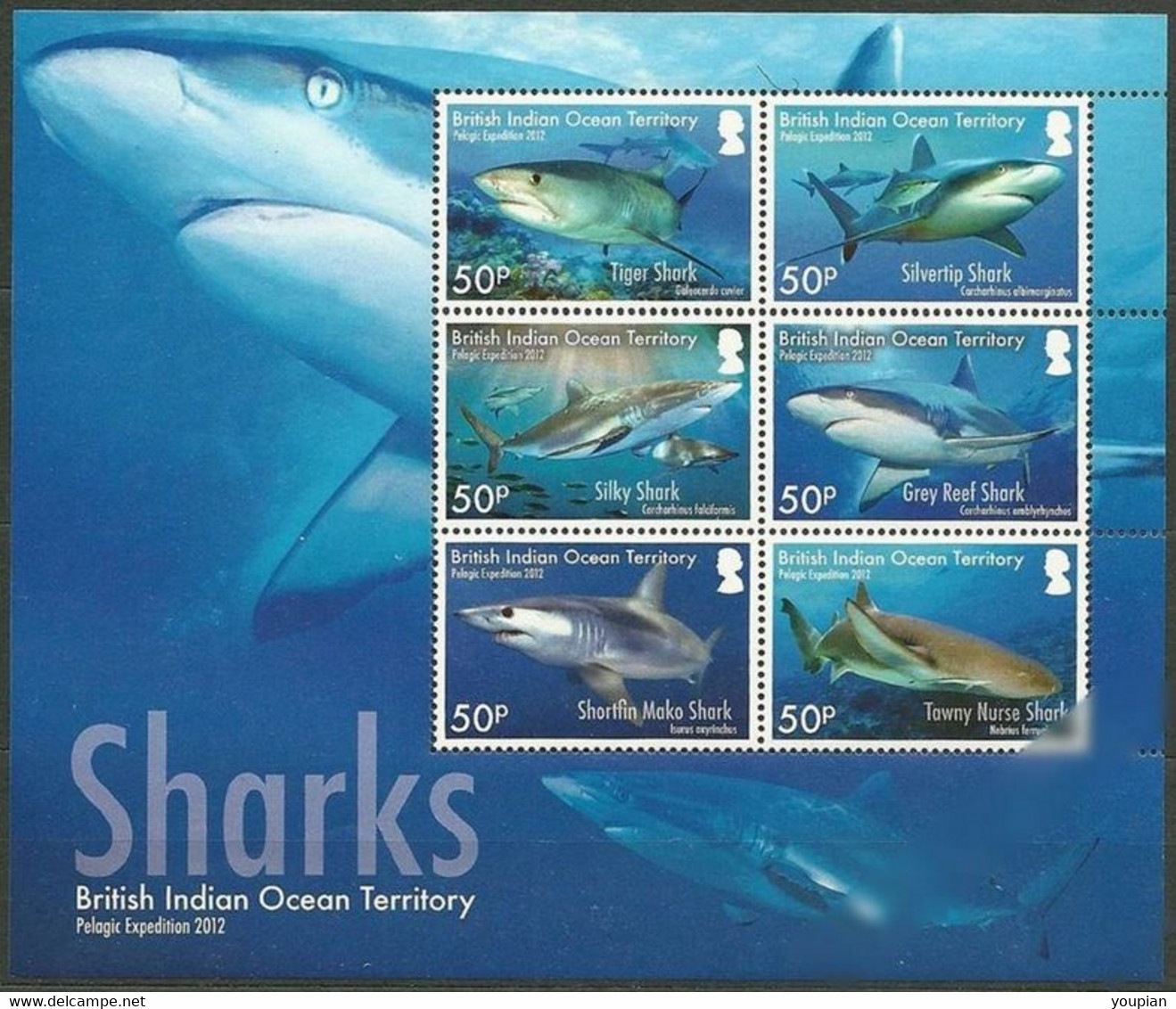 British Indian Ocean Territory 2016, Sharks, MNH S/S - British Indian Ocean Territory (BIOT)