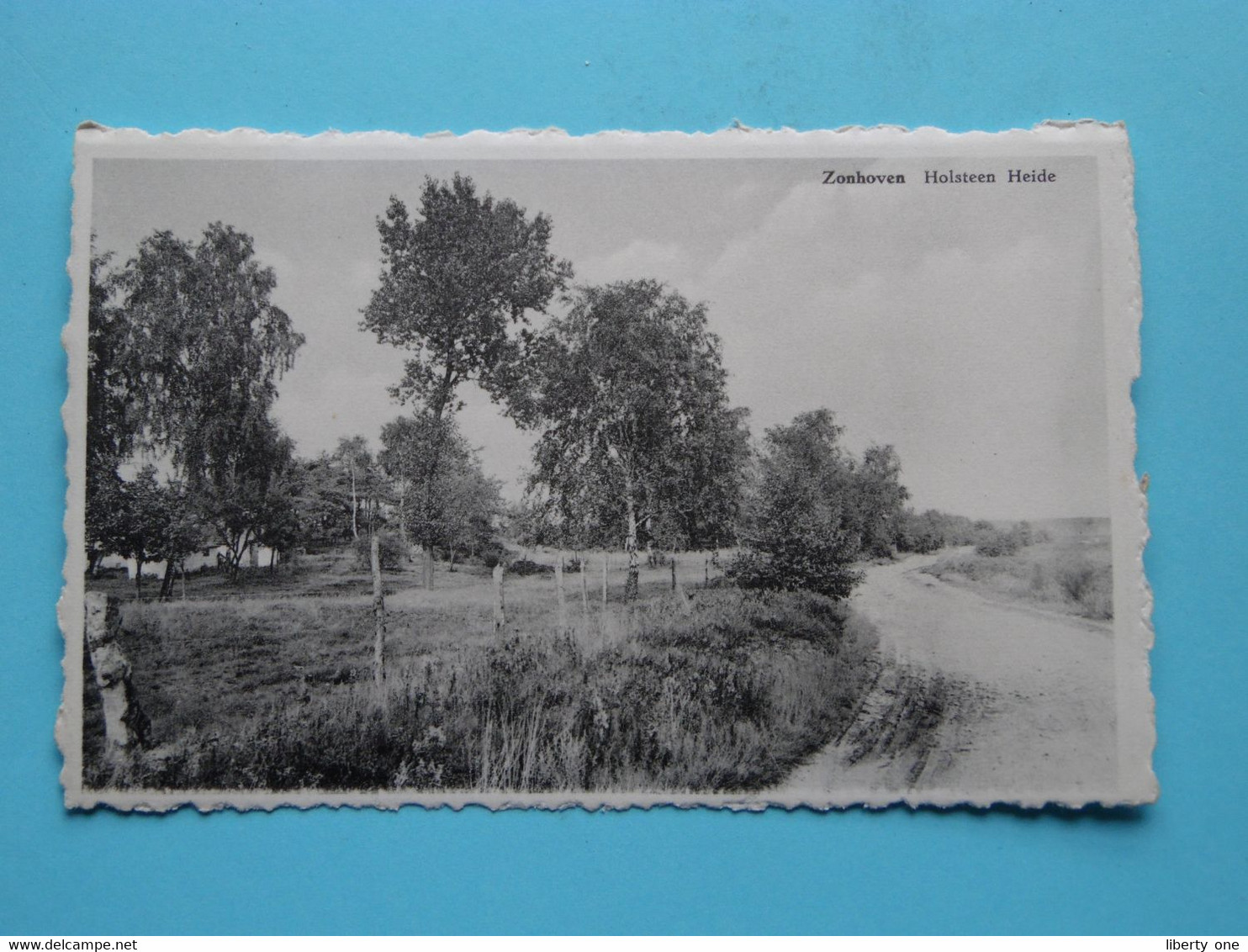 HOLSTEEN Heide > Zonhoven ( Edit. Daniëls-Bervoets ) Anno 19?? ( Zie / Voir Scan ) ! - Zonhoven