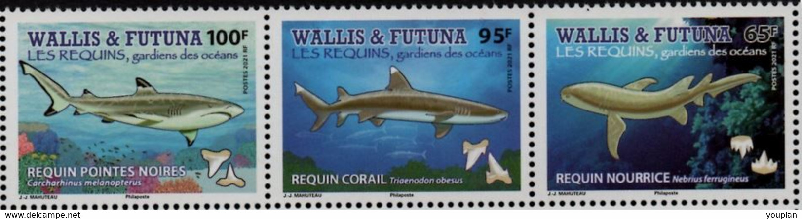 Wallis And Futuna 2021, Sharks, MNH Stamps Strip - Ungebraucht